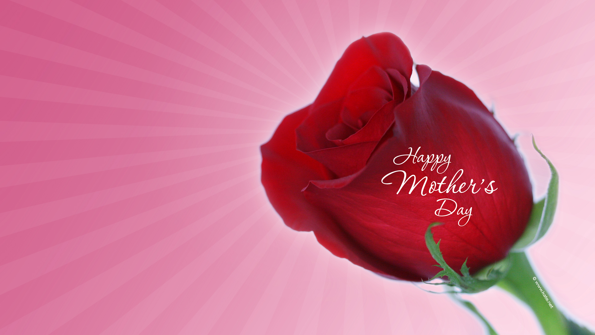 Printable Mother's Day Cards by Kate.net