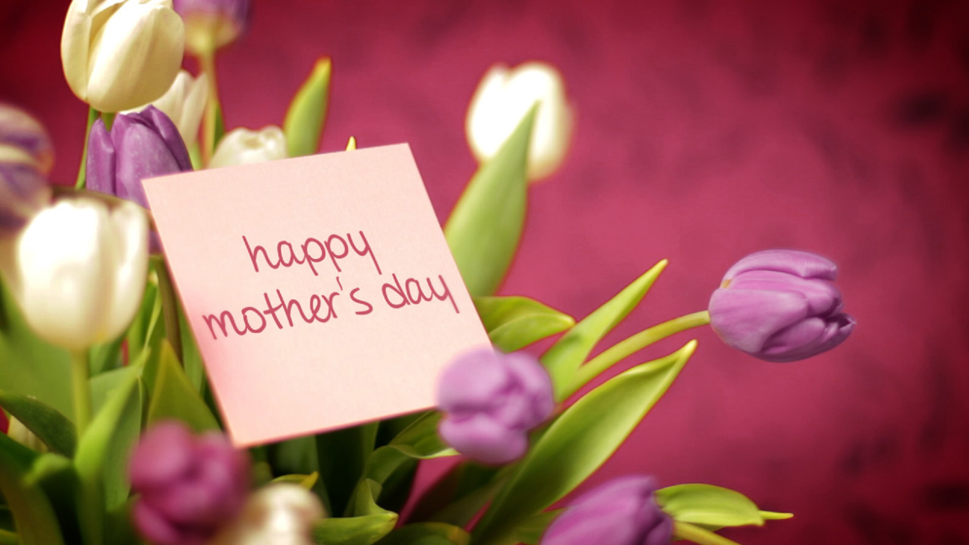 Holiday Mother's Day HD Wallpaper
