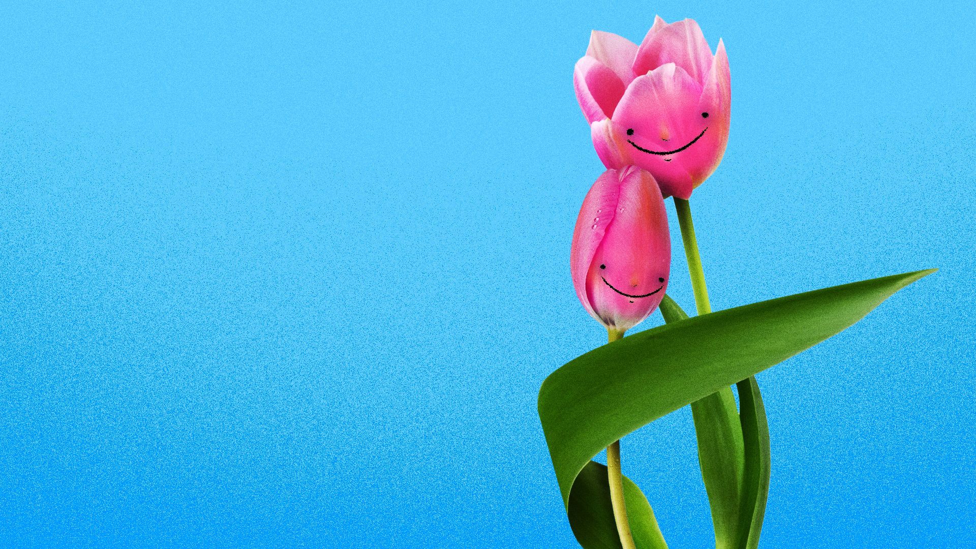 Mother's Day 2023: Record spending