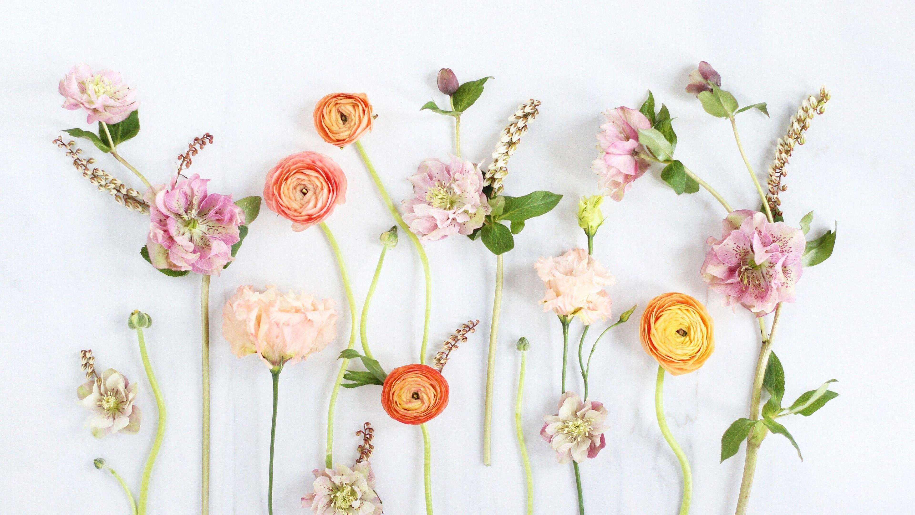 Aesthetic Spring HD Desktop Wallpaper