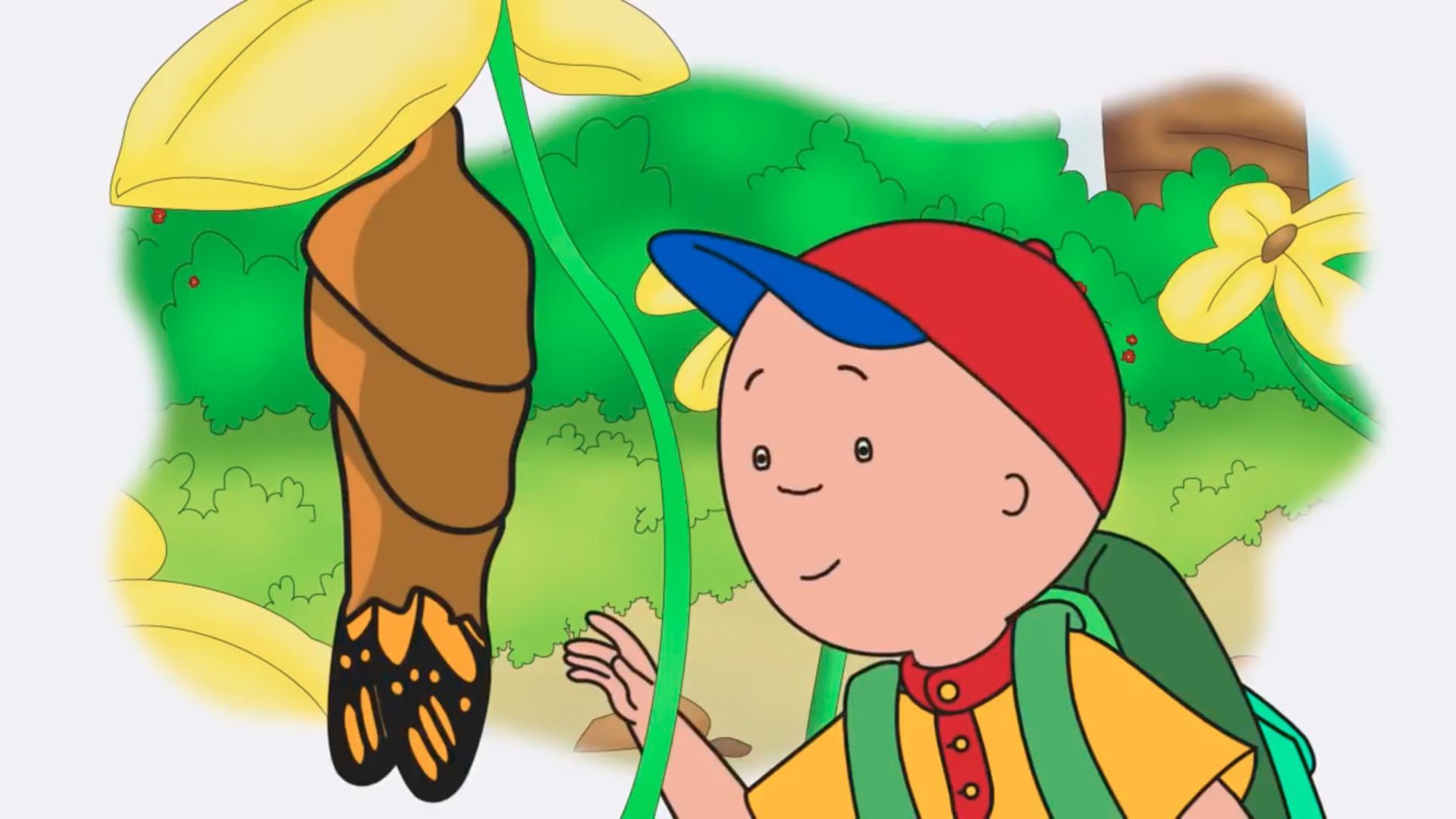 Caillou · Season 5 Episode 76