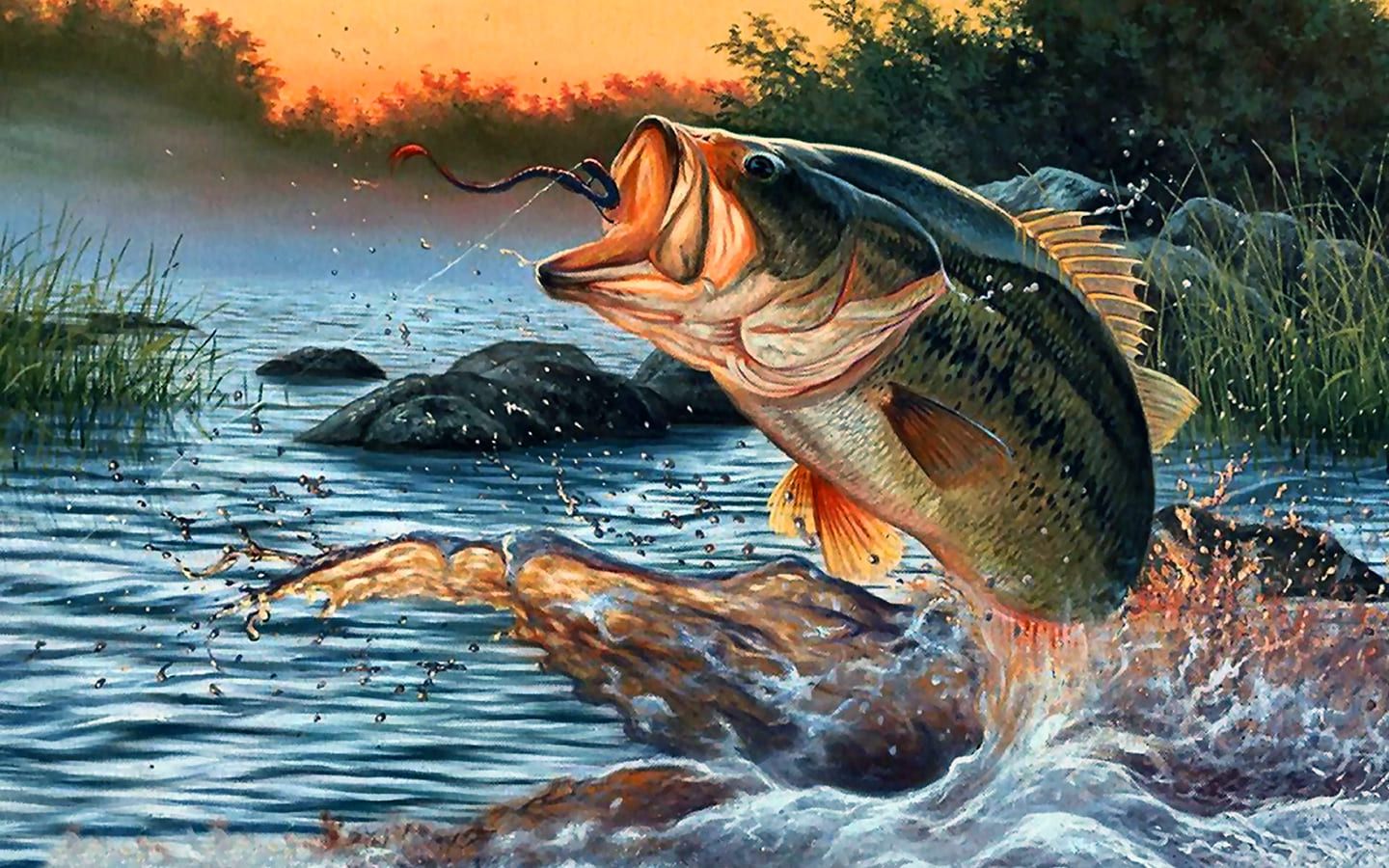 Fishing Wallpaper. Fish