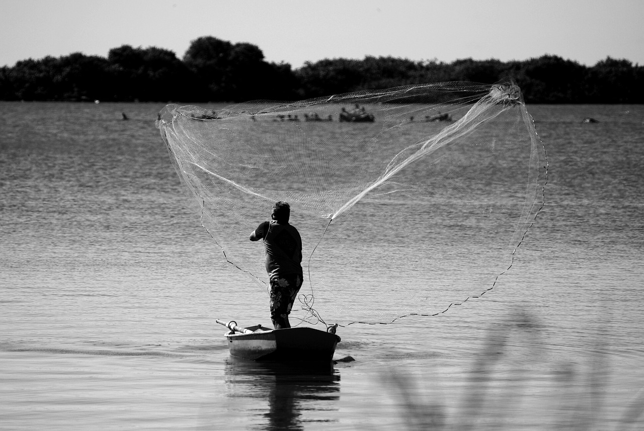 Free Fishery & Fisheries Image