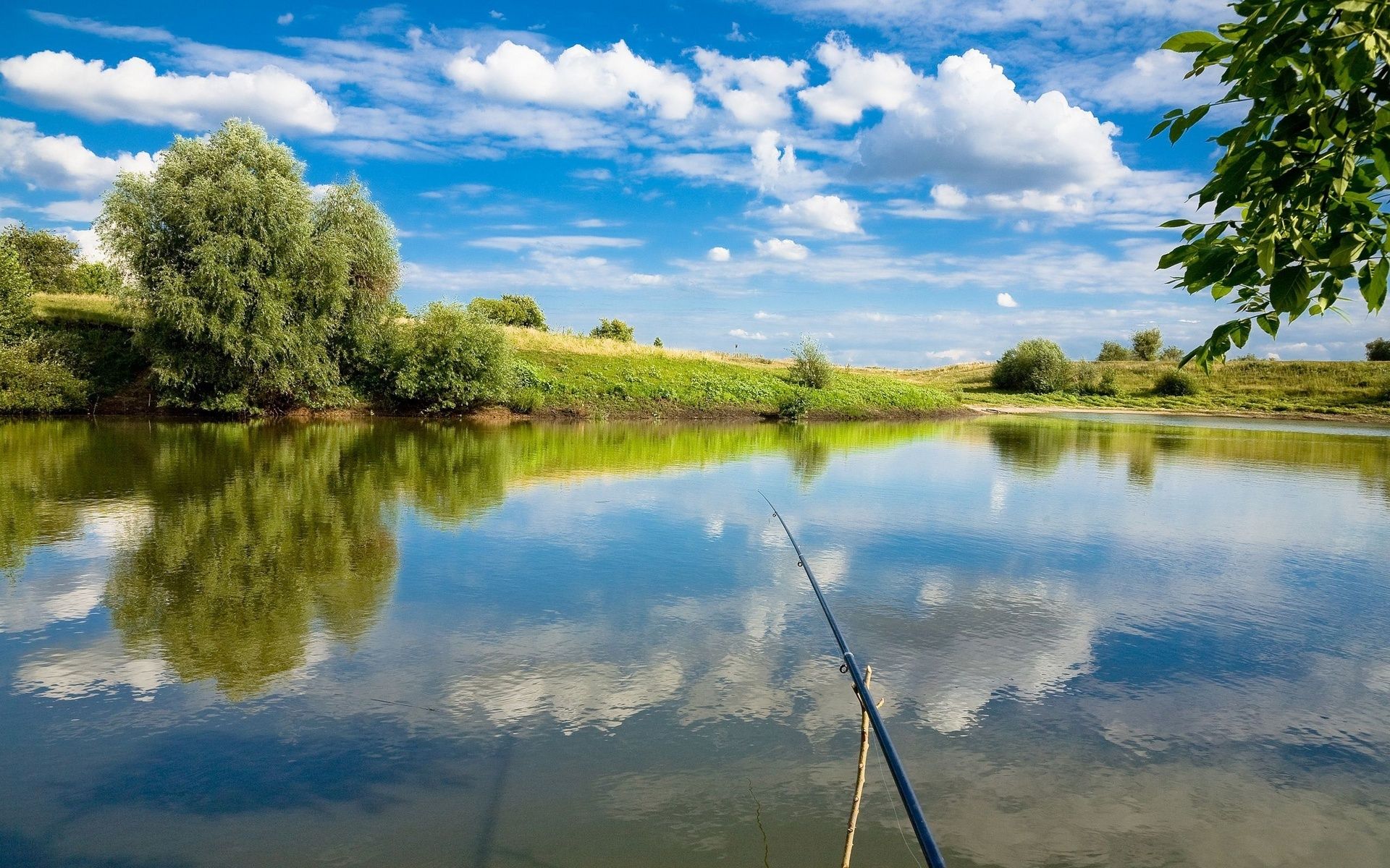 Southern Tides Fishing Charters