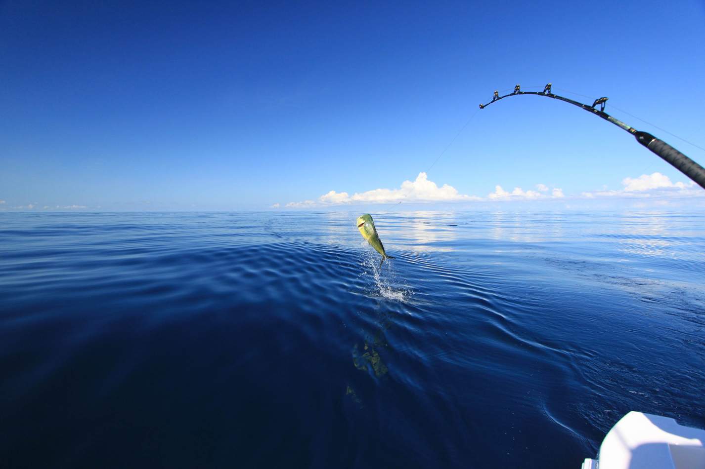 Nicaragua Fishing Trips Seasons