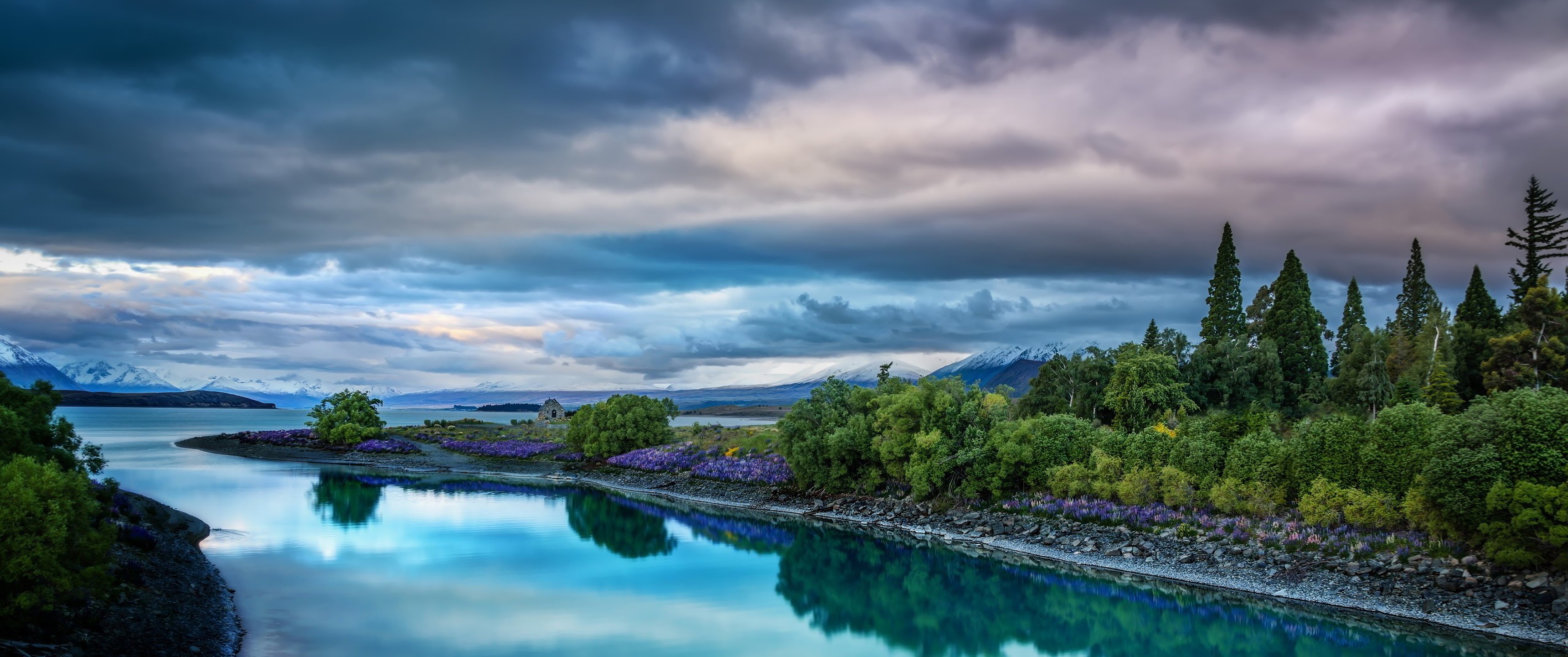 Nature Forest Scenery Landscape 4K