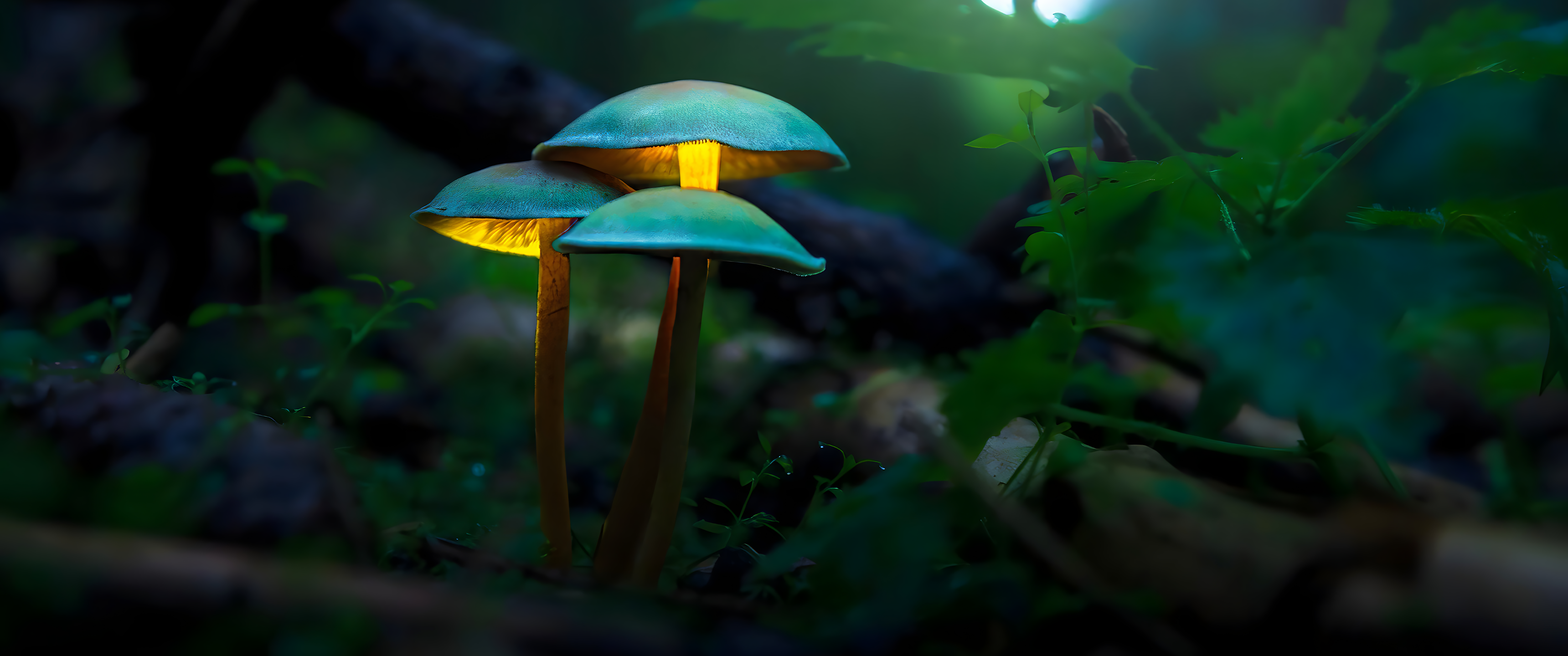 Landscape Ultrawide Green Nature