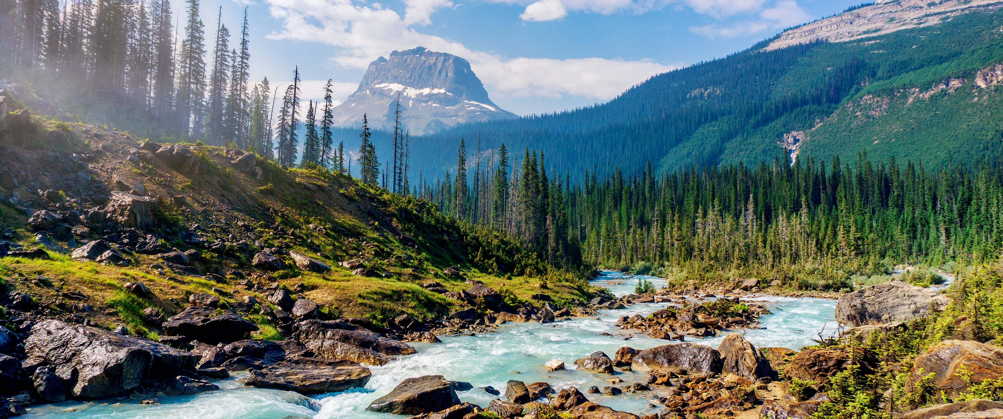 UltraWide Monitor QHD Wallpaper