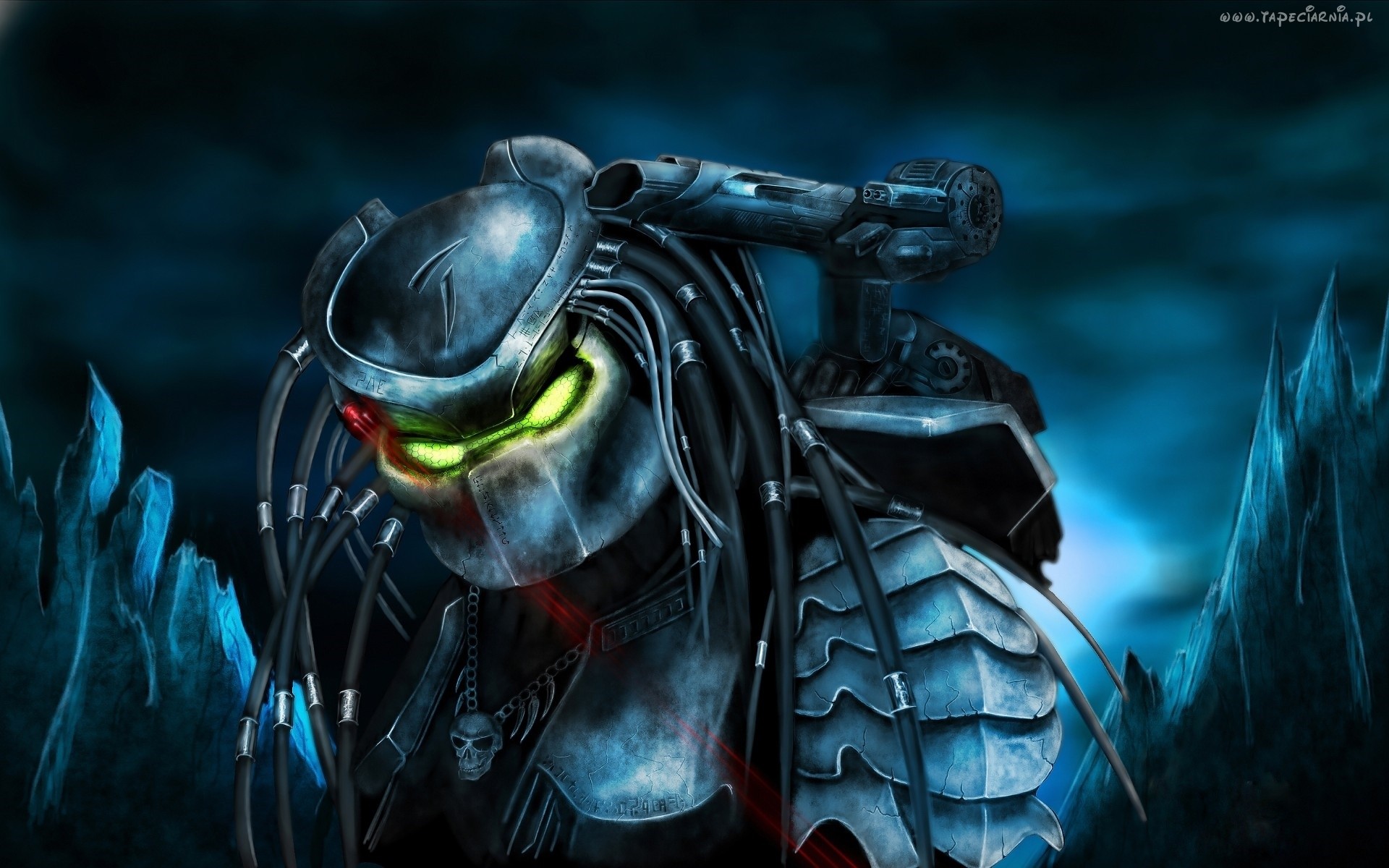 Predator Wallpaper