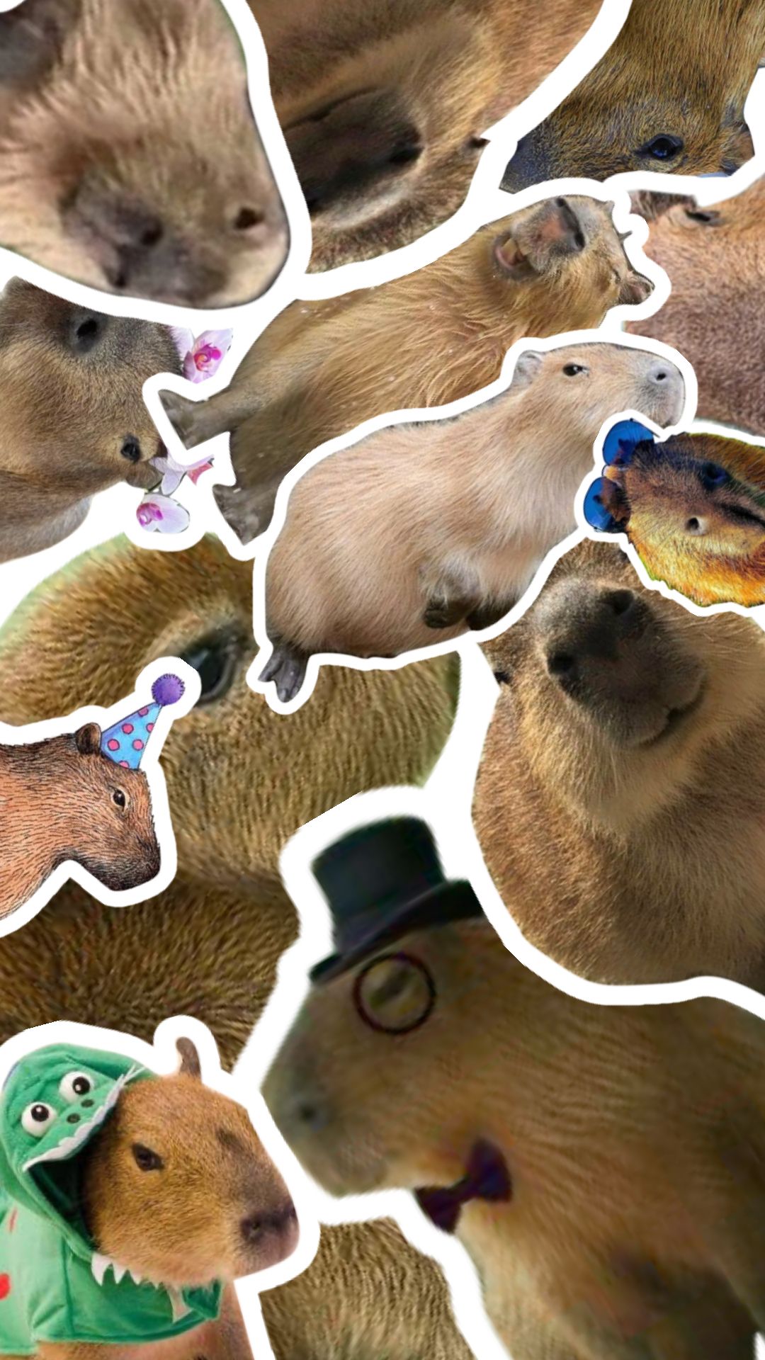 Cute Capybara Collage Wallpaper