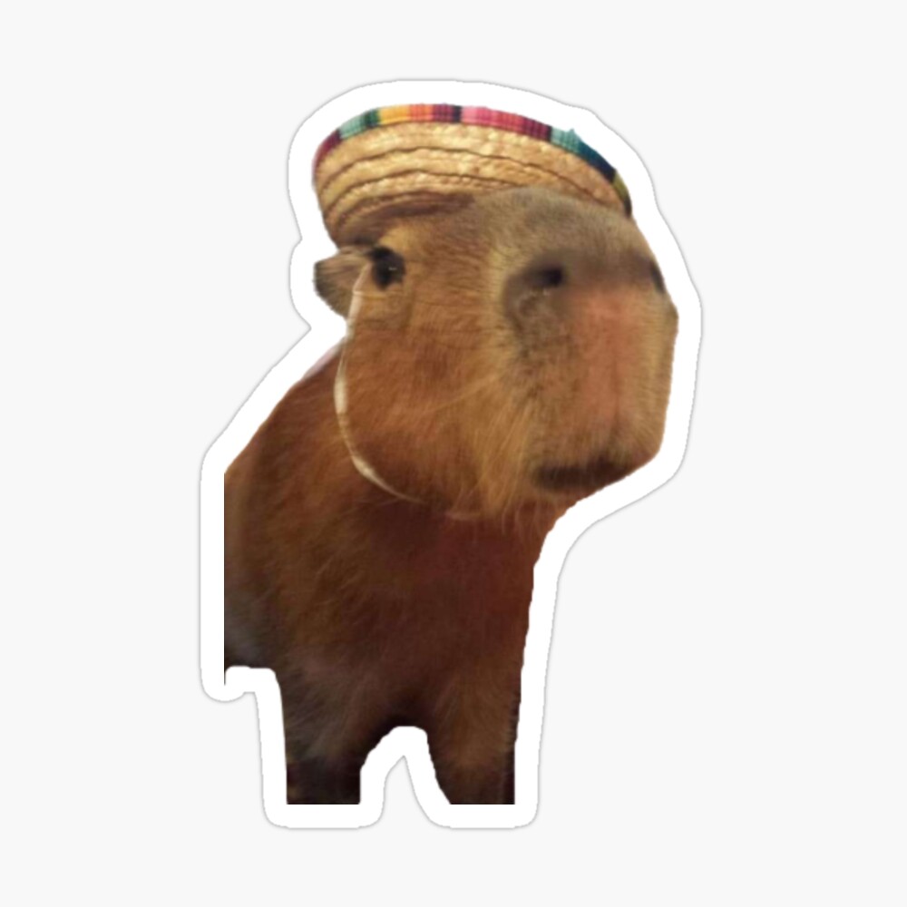 Meme Mexican Capybara Poster
