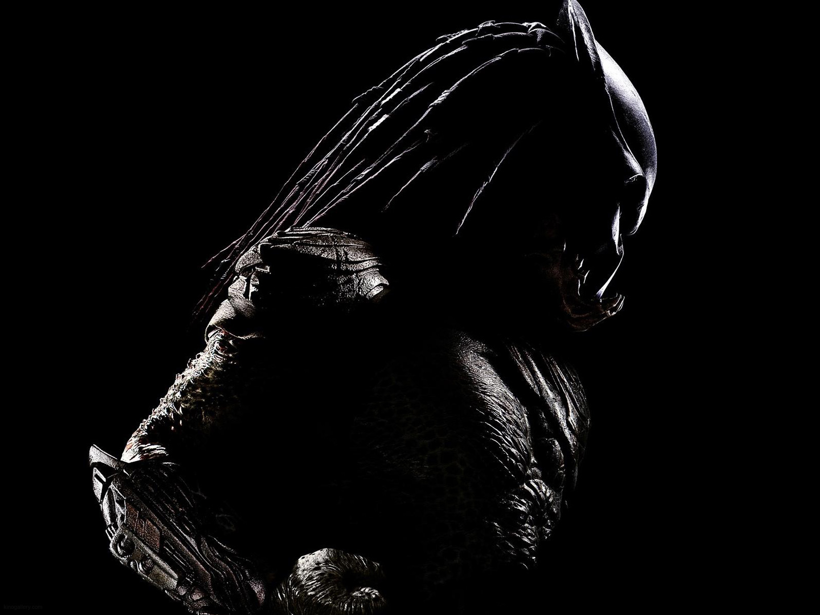 Berserker (Predator) wallpaper