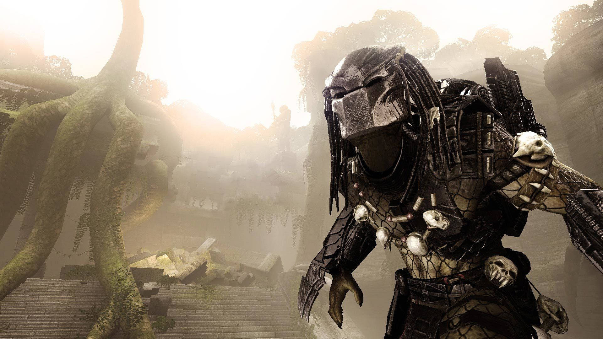 Download Predator Wallpaper for FREE