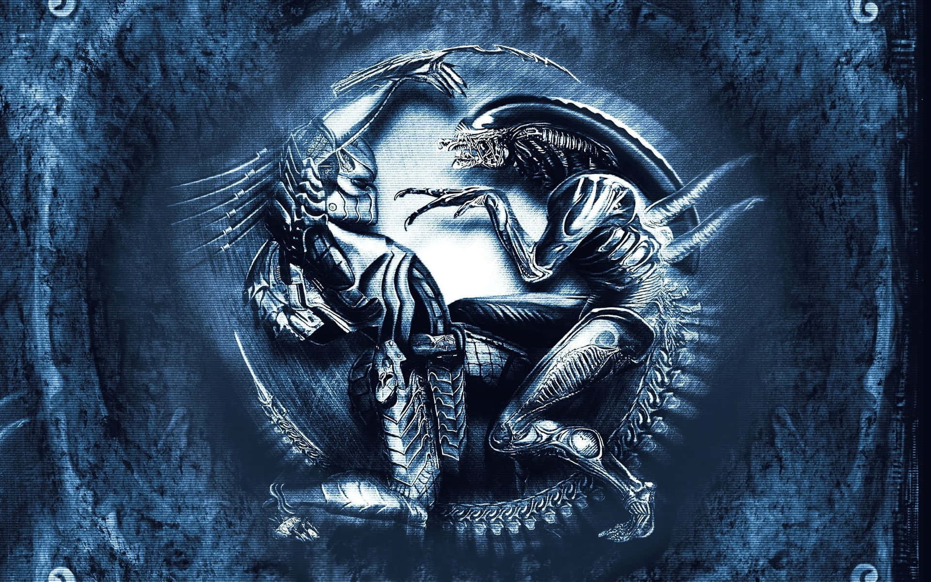 Alien Vs Predator Wallpaper
