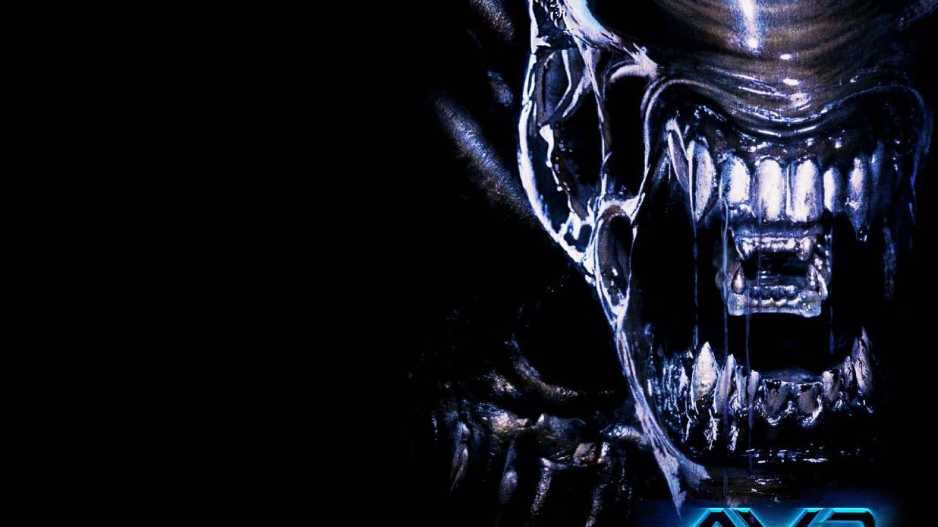 Alien Vs Predator Wallpaper