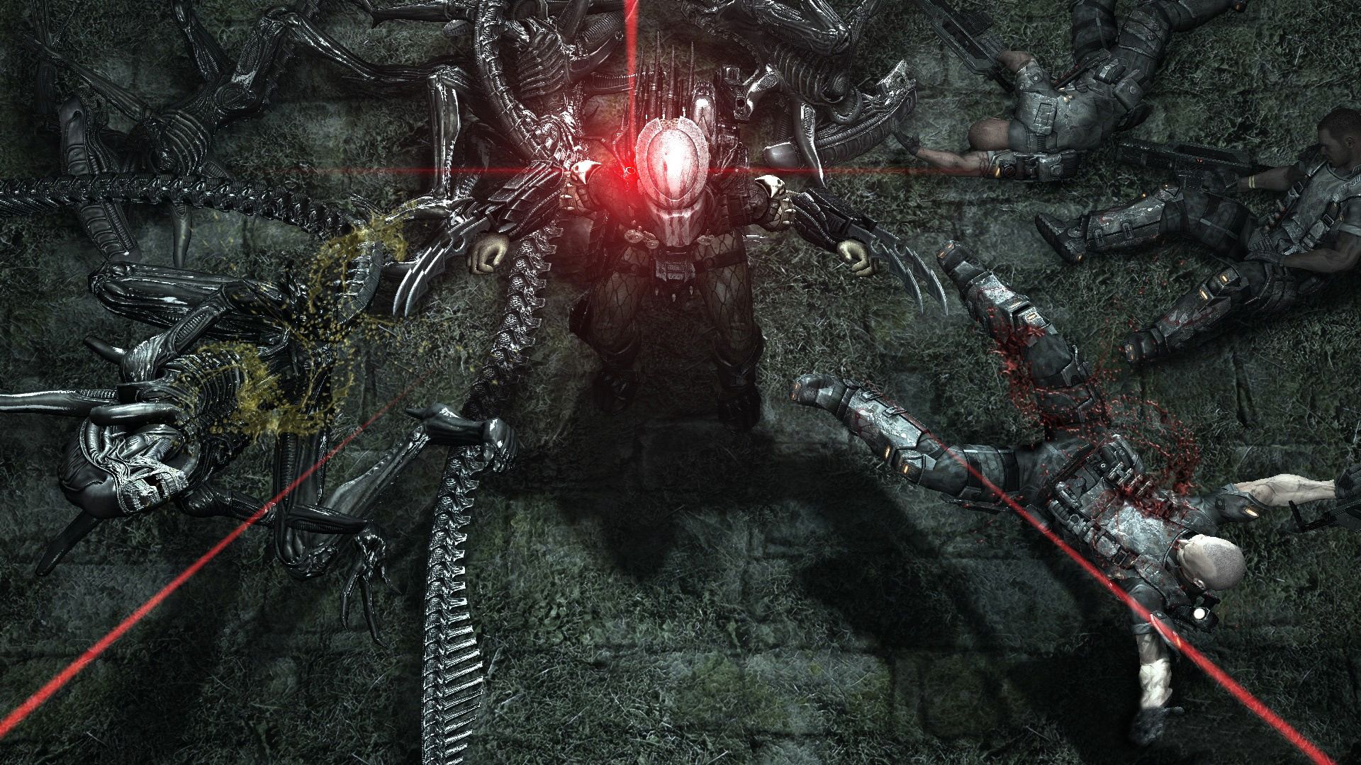 Aliens Vs. Predator Computer Wallpaper