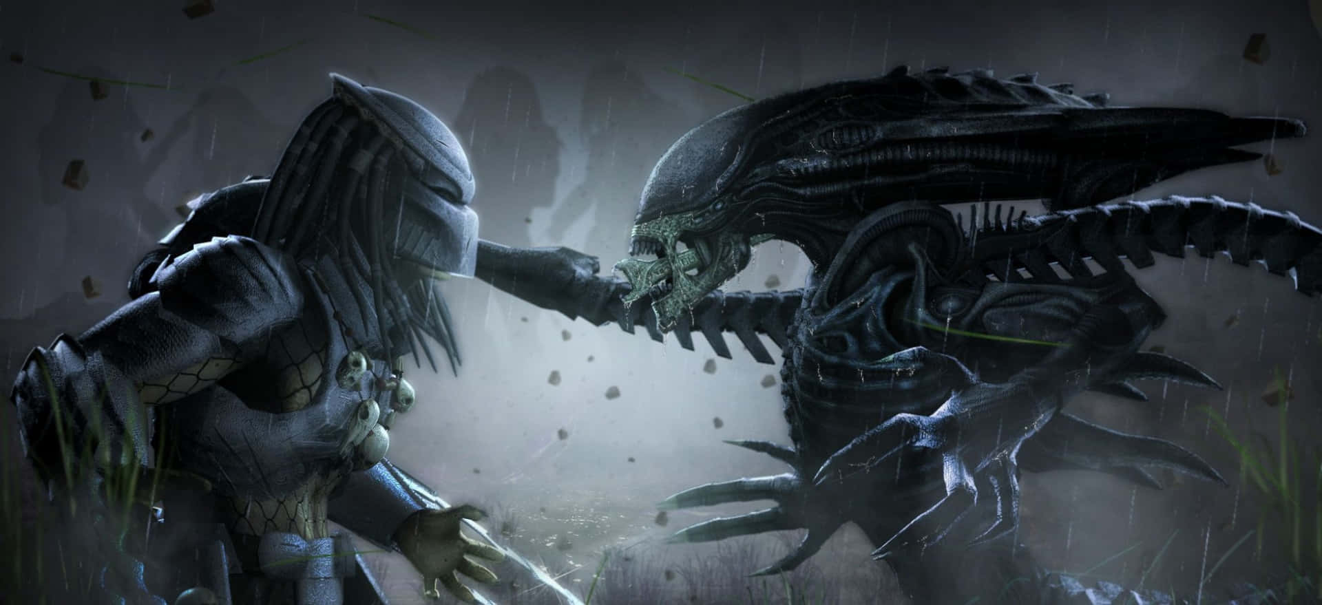 Predator Wallpaper