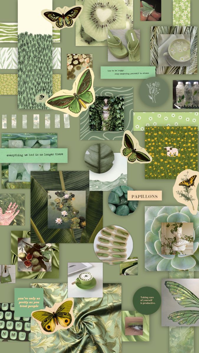 Sage Green Aesthetic Wallpaper in 2022