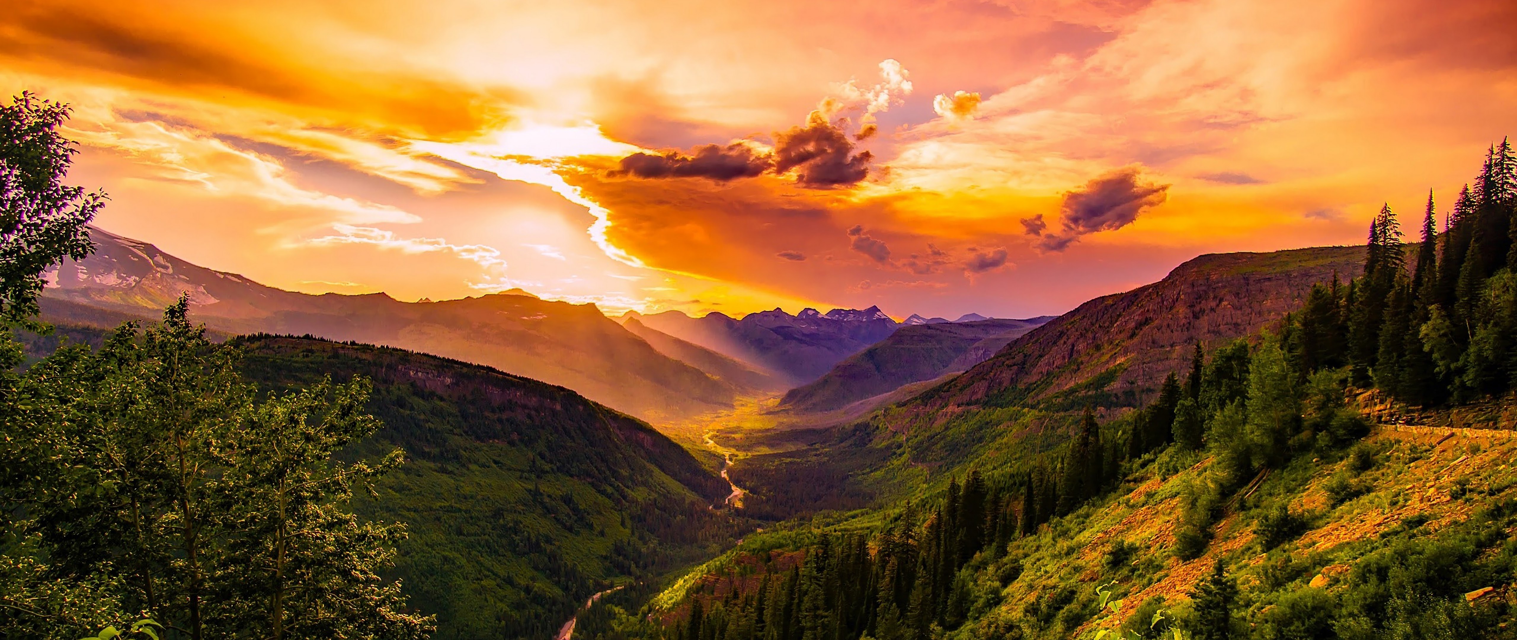 Mountains Forest Trees Horizon 4K