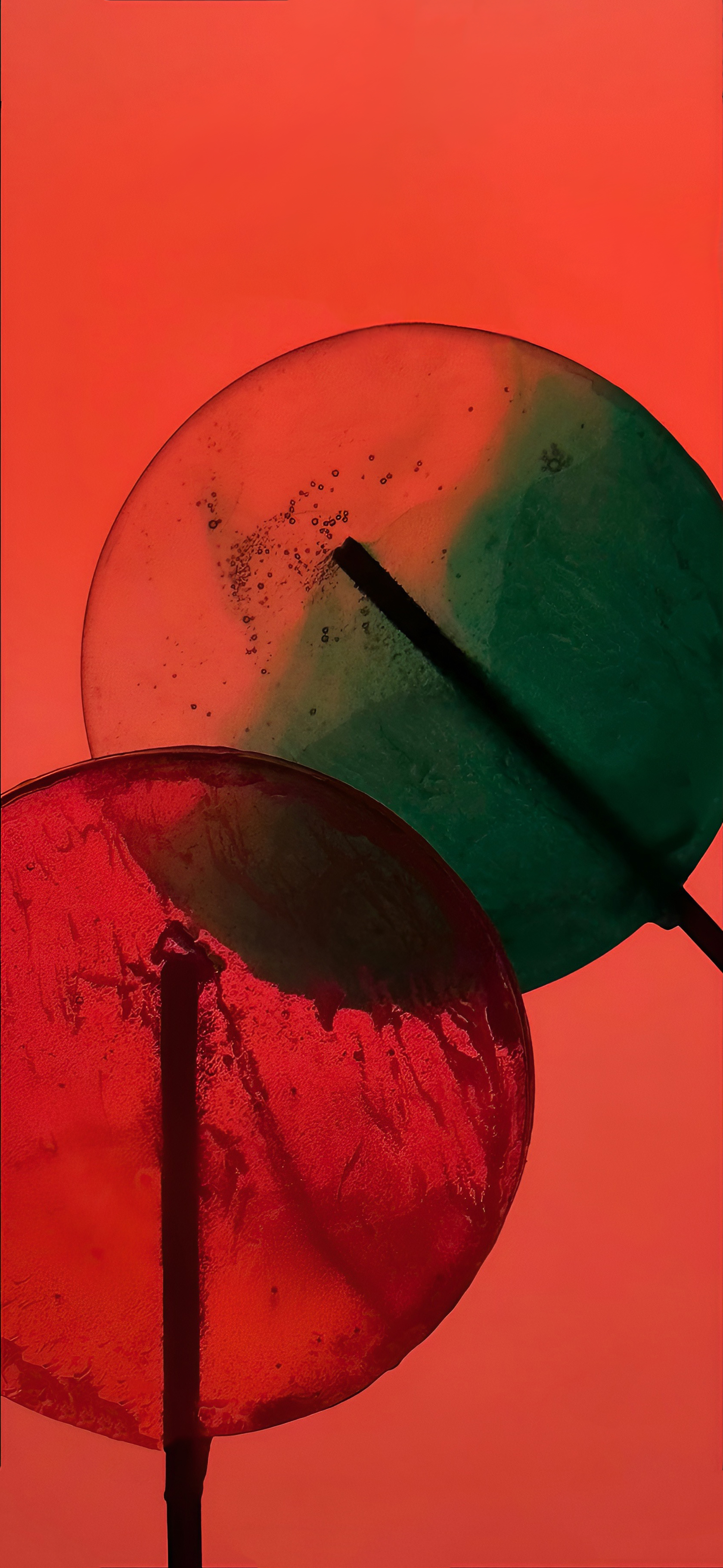 Wallpaper IPhone 14, IPhone 14 Pro, Apples, Smartphone, Space Black, Background Free Image