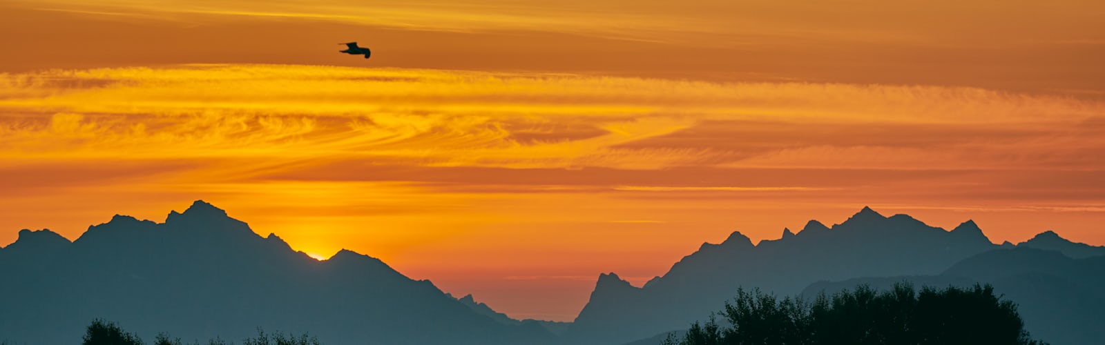 4K Wallpaper best free 4k