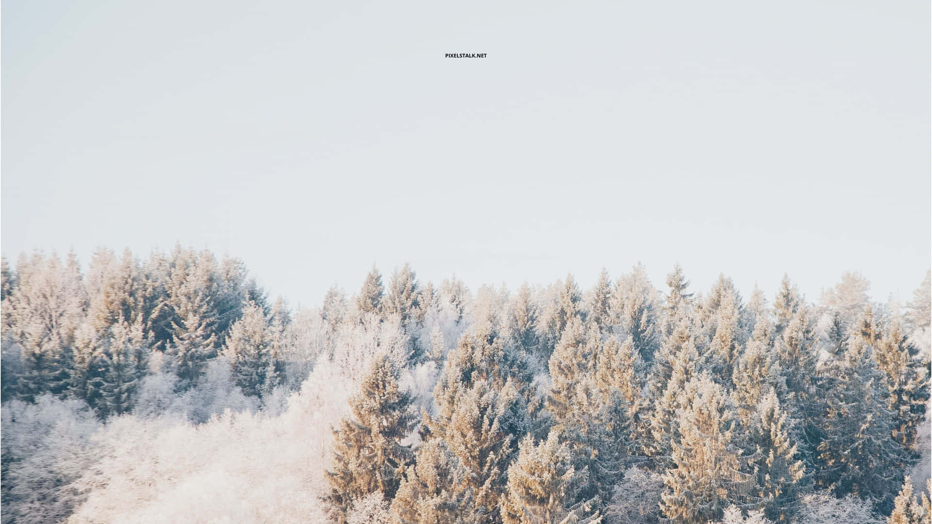 Winter Laptop Wallpaper