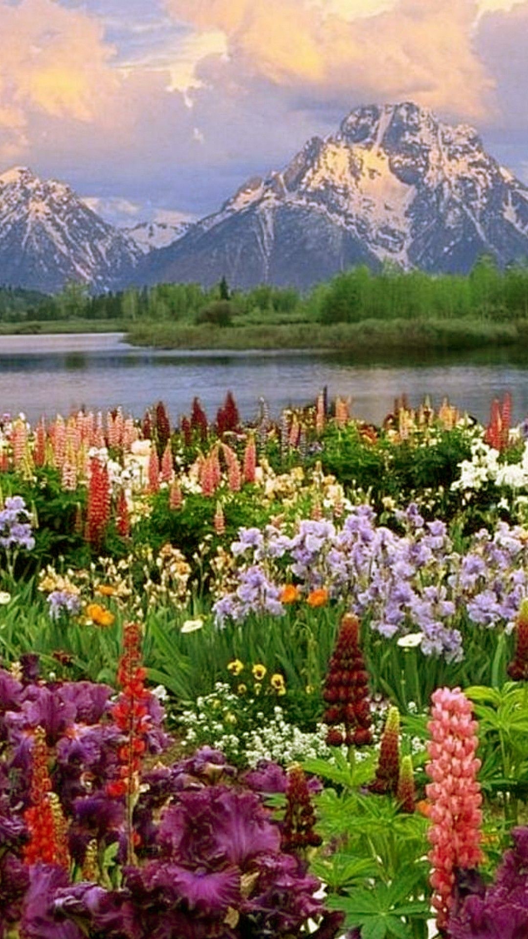 Spring iPhone Wallpaper