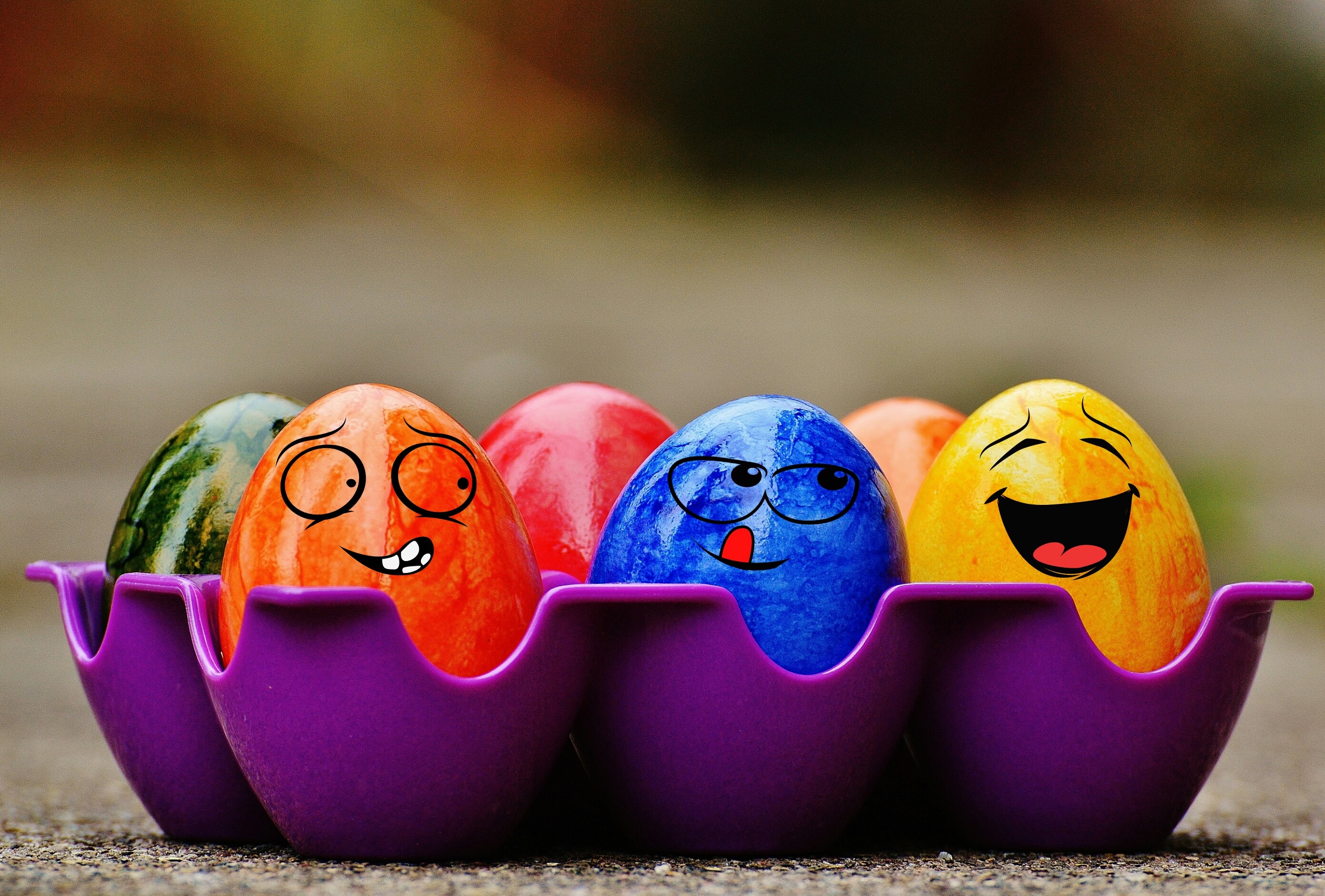 Free Image, color, colorful, toy, egg
