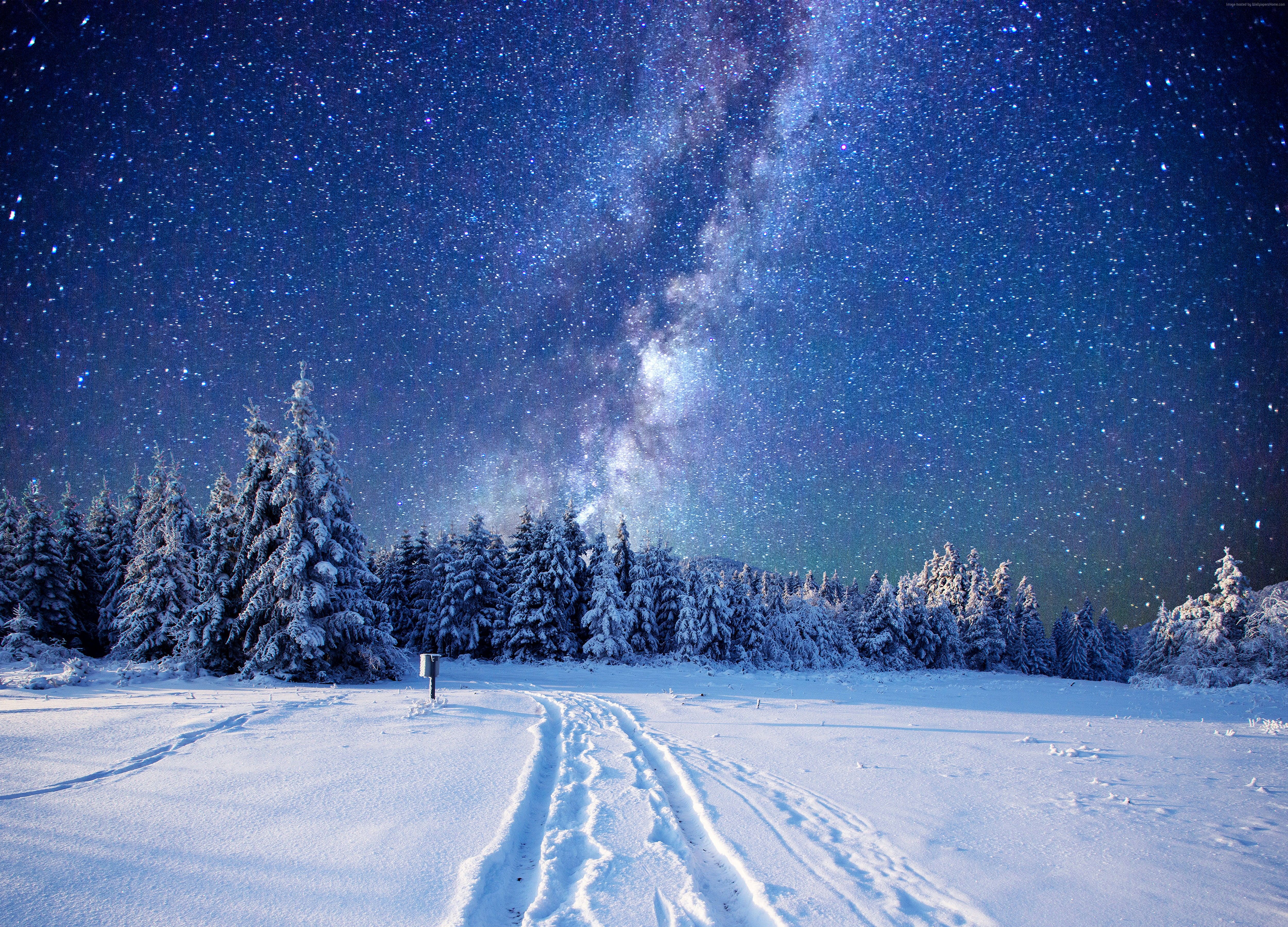 HD wallpaper: stars, sky, winter, night, snow, forest, 5k