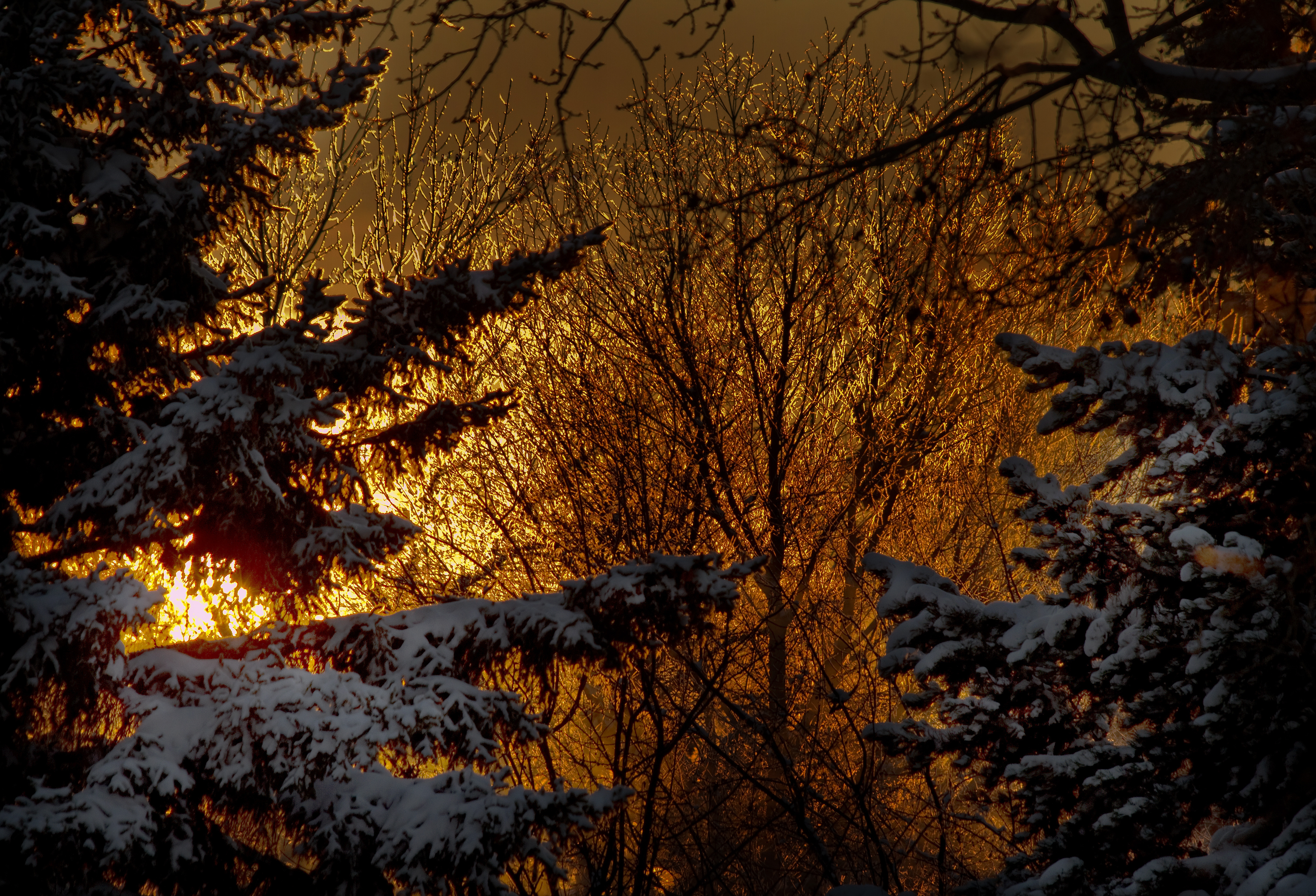 Nature Winter 4k Ultra HD Wallpaper