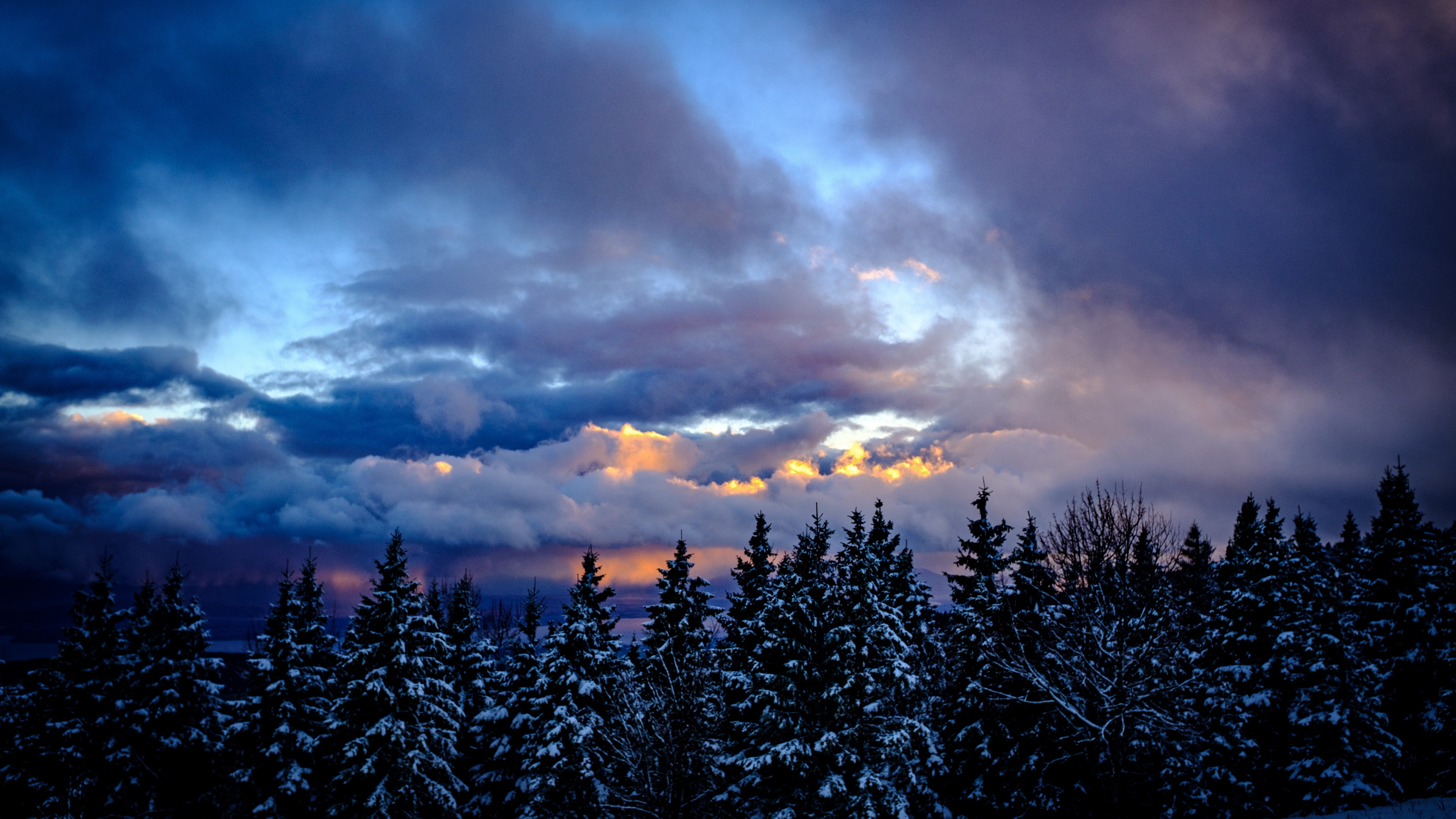Snowy Trees Wallpaper 4K, Winter, Cloudy Sky, Dusk, Scenic
