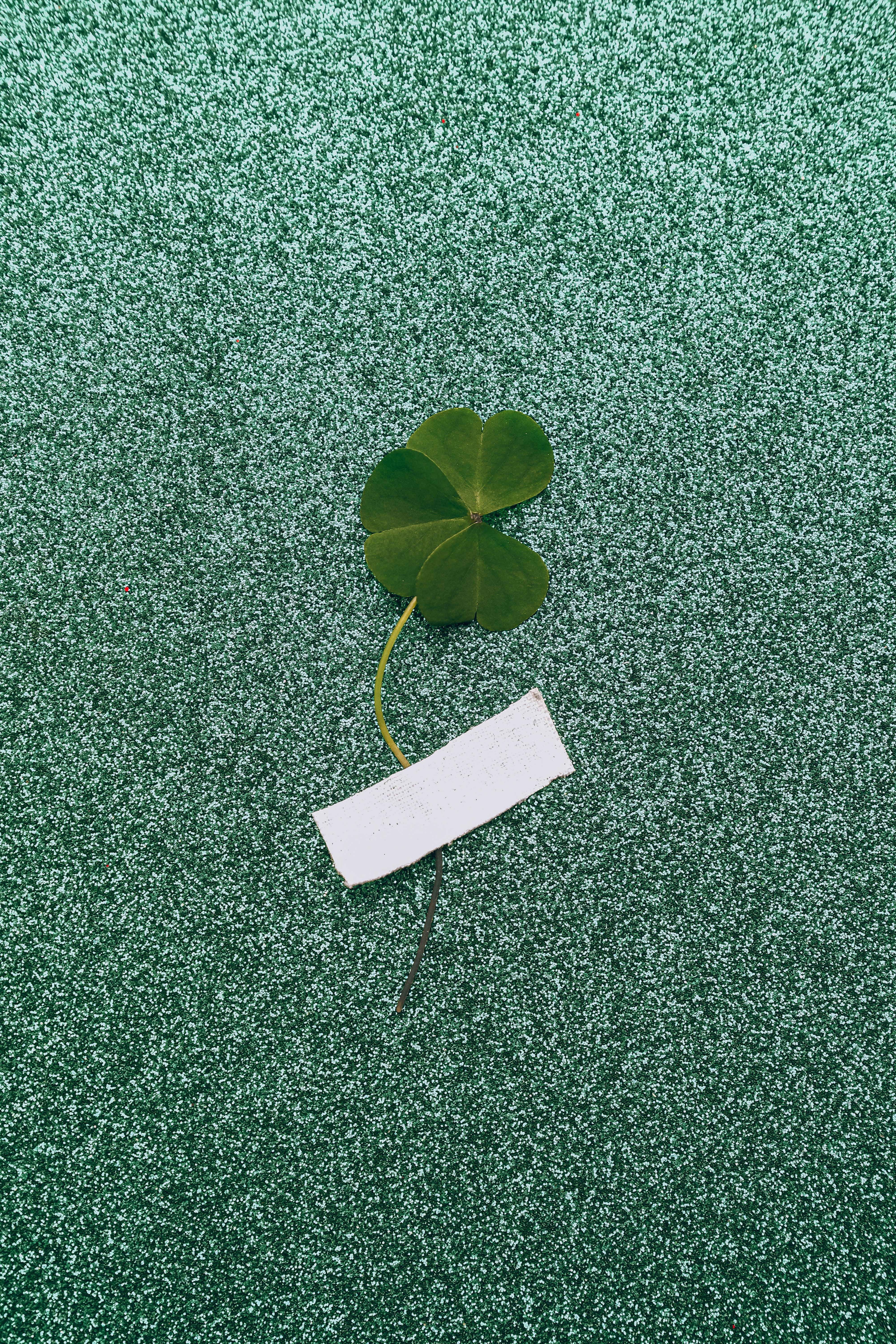 Clover Taped to Glitter Background