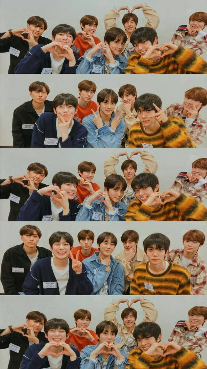 Download Simple Group Collage Enhypen Aesthetic Wallpaper