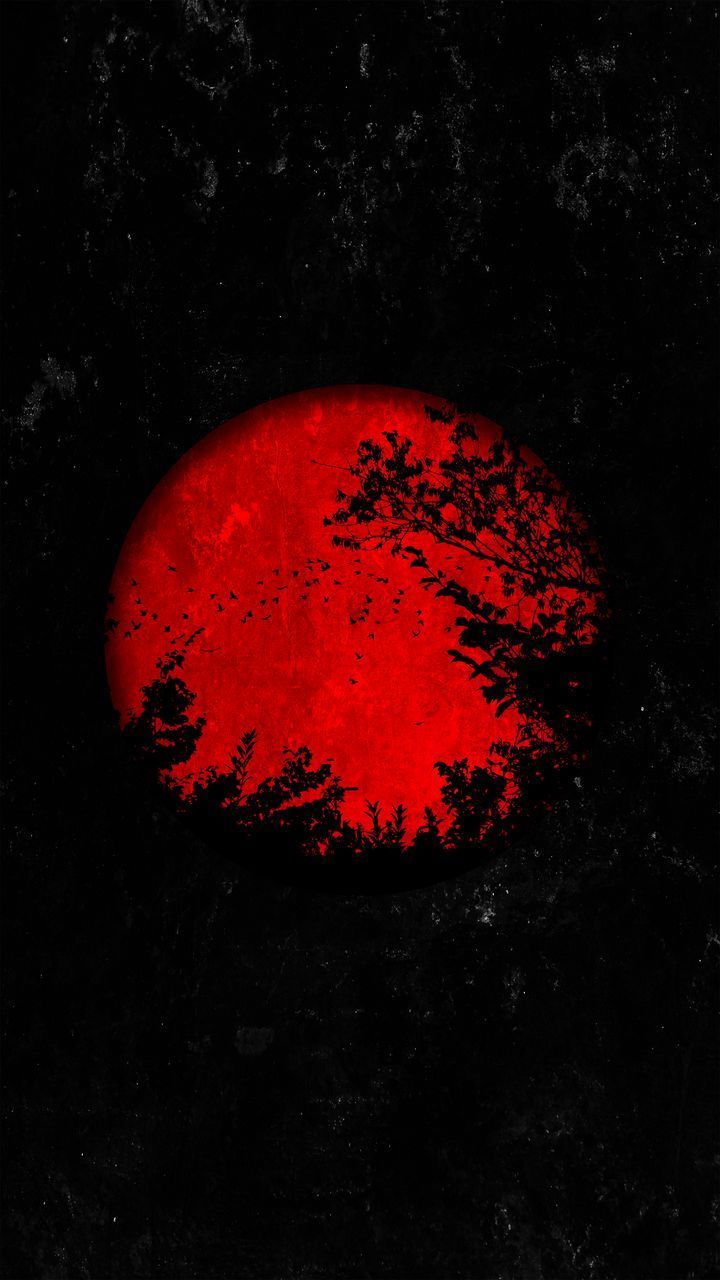 Free HD wallpaper moon, trees, branches