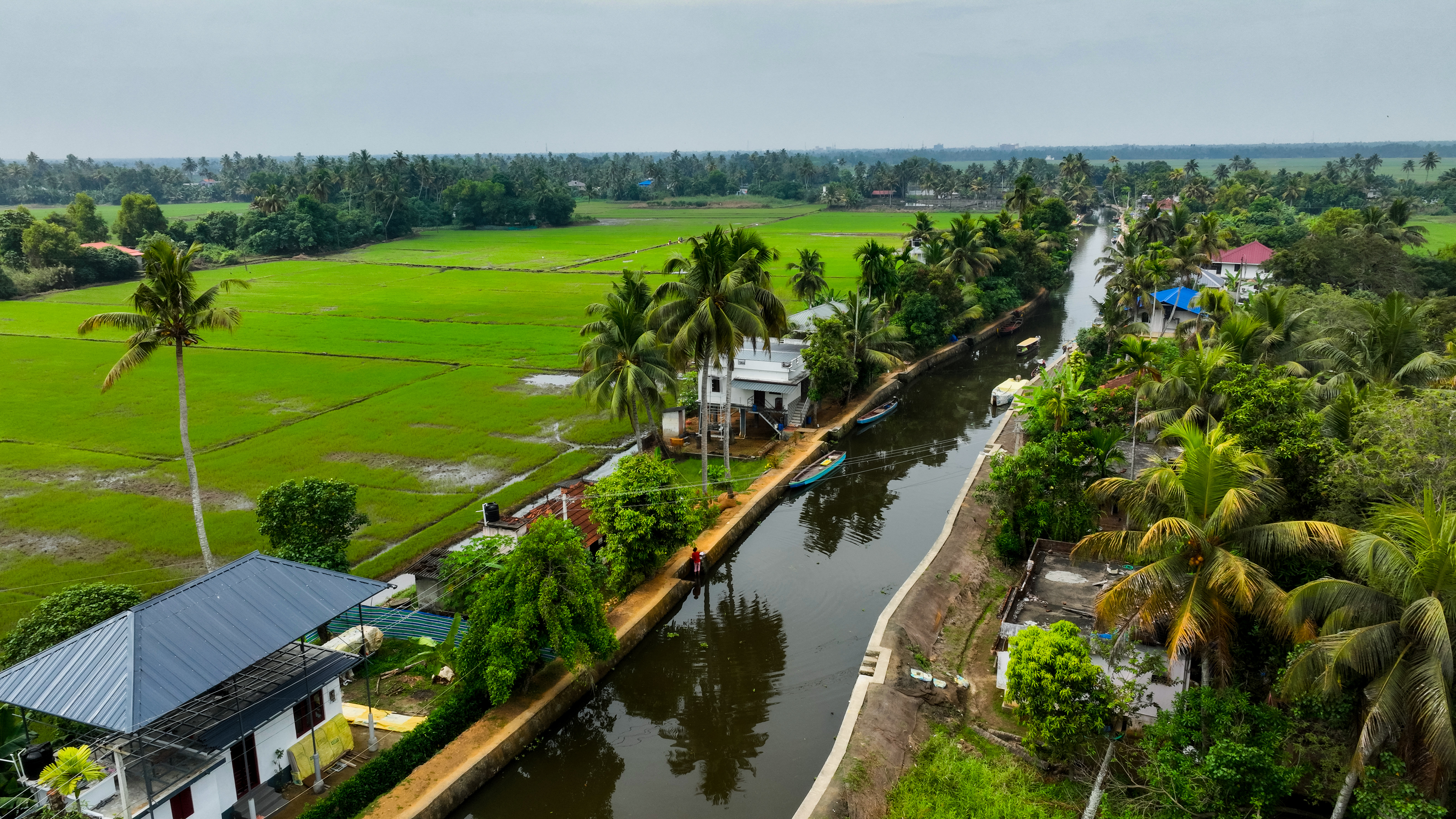 Kuttanad Photo. Kerala Image. Kerala