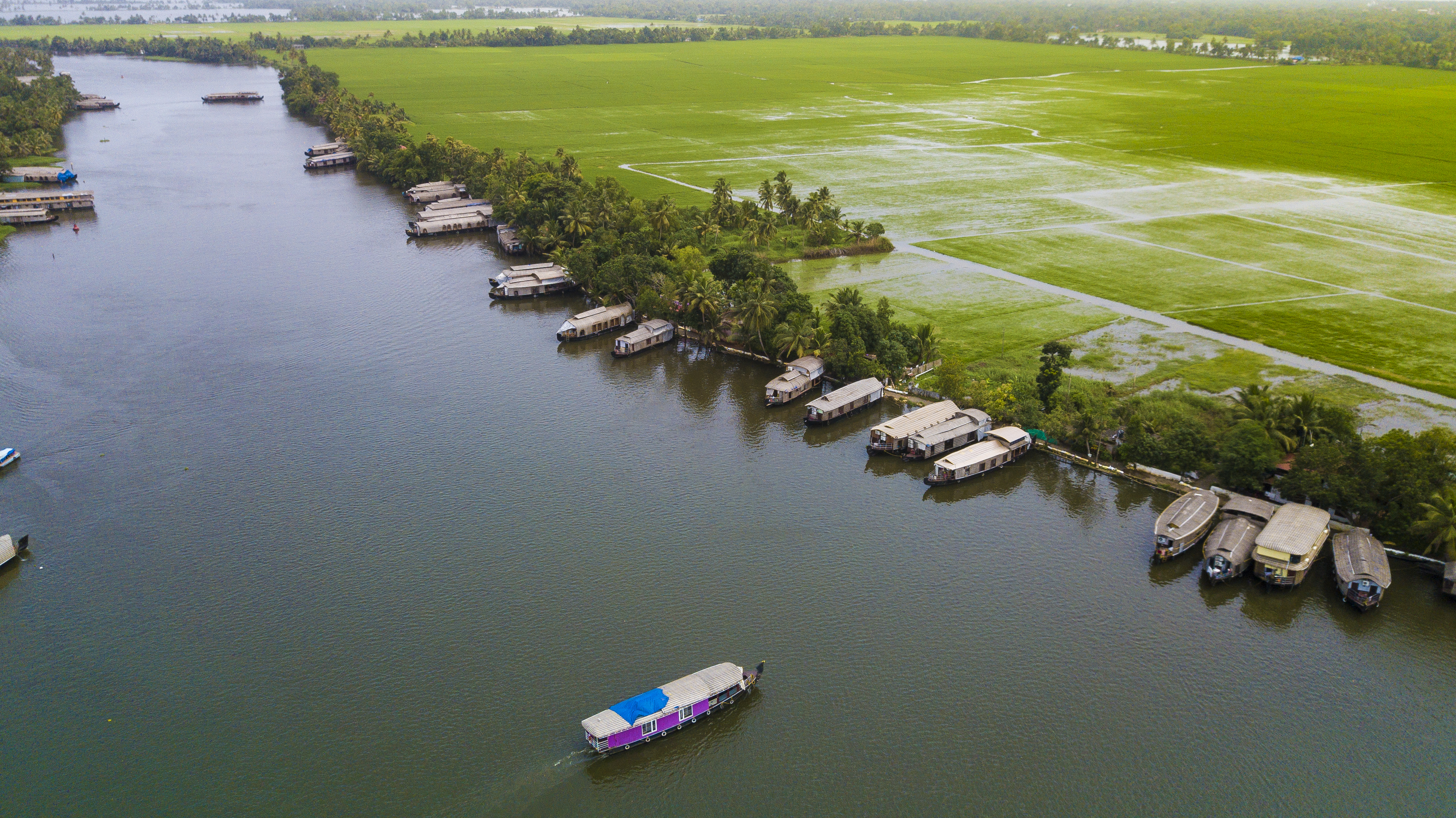 Kuttanad Paddy fields