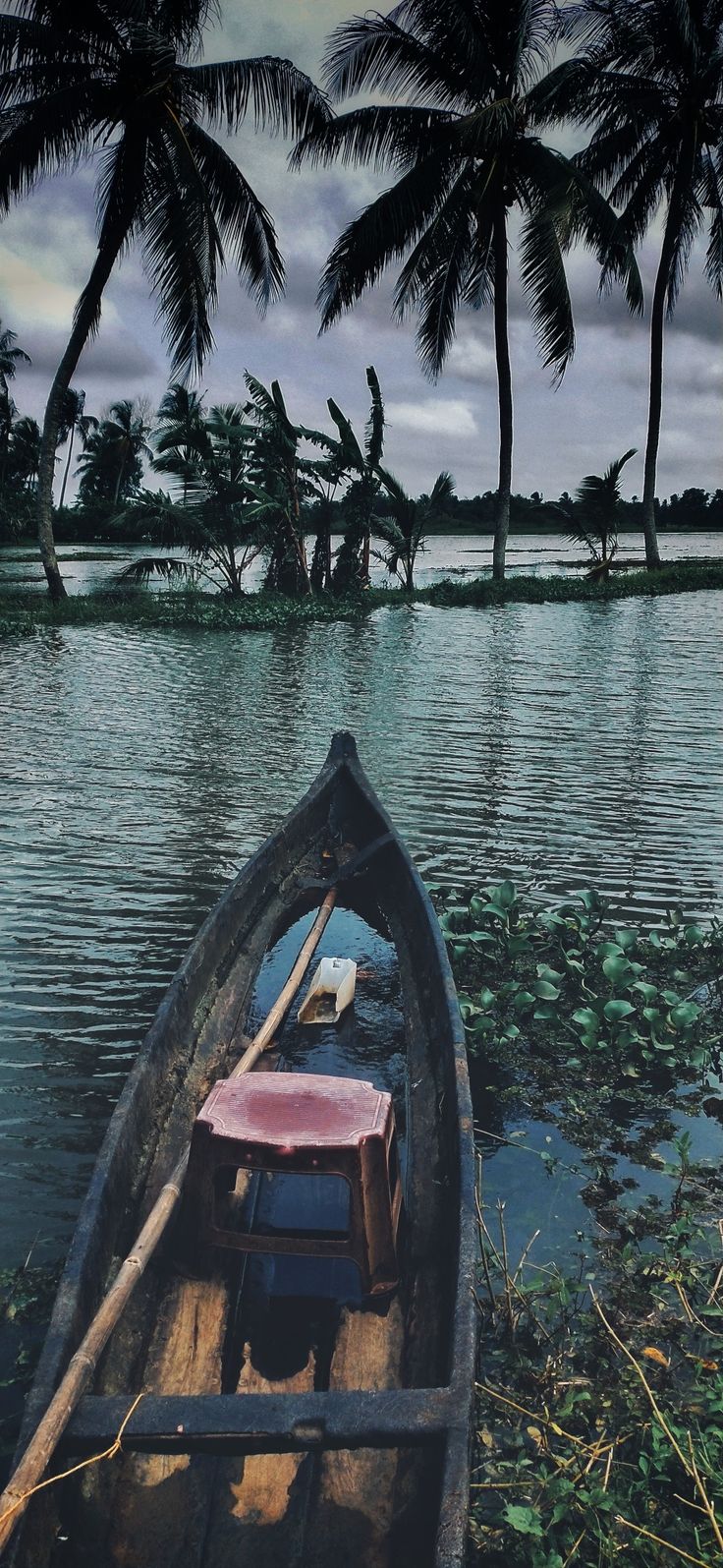 Kuttanad Lovers _ kerala_ water. Beach