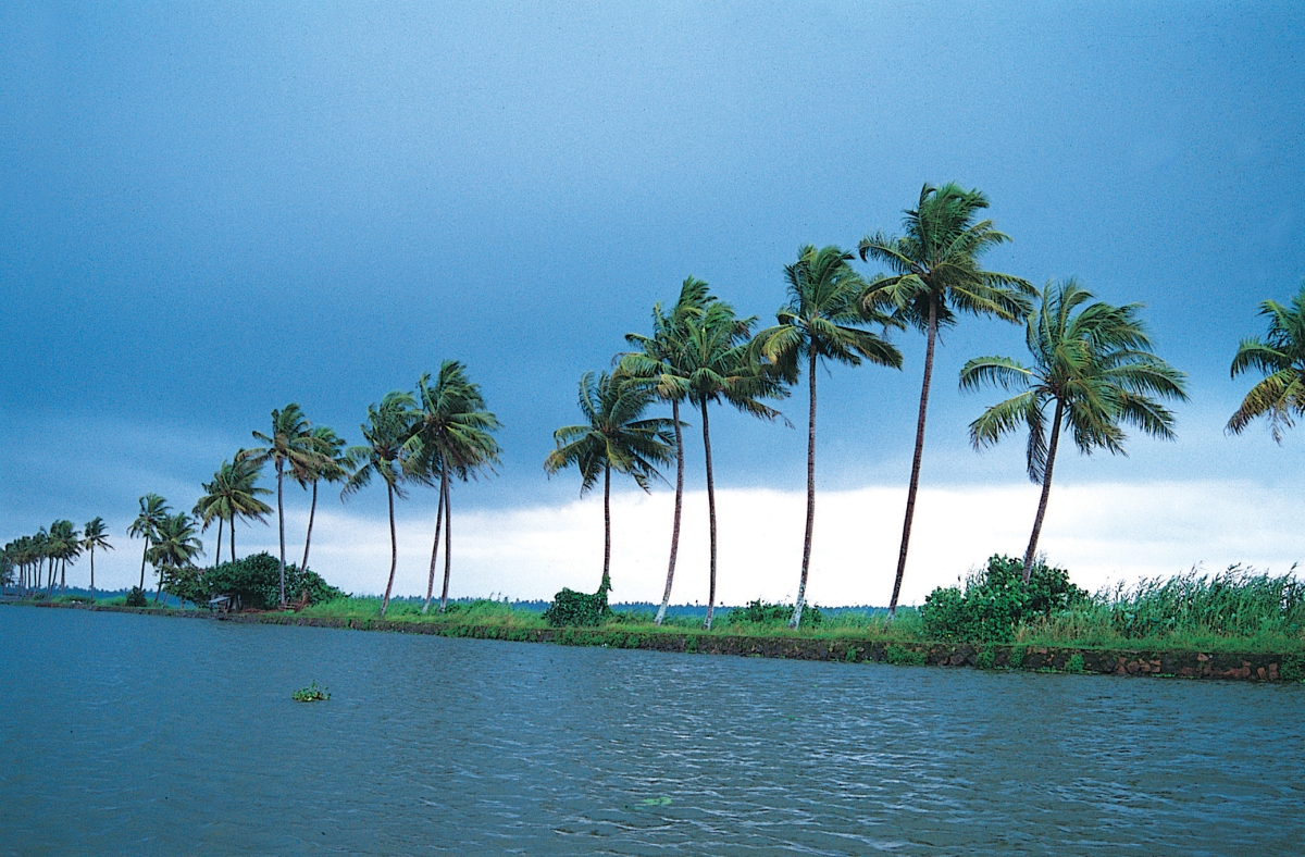 Destination Kuttanad: The Rice Bowl