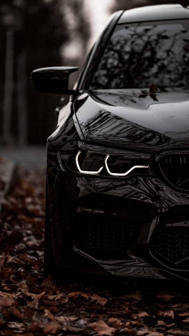 BMW Exclusive Wallpaper. Bmw cars, Bmw