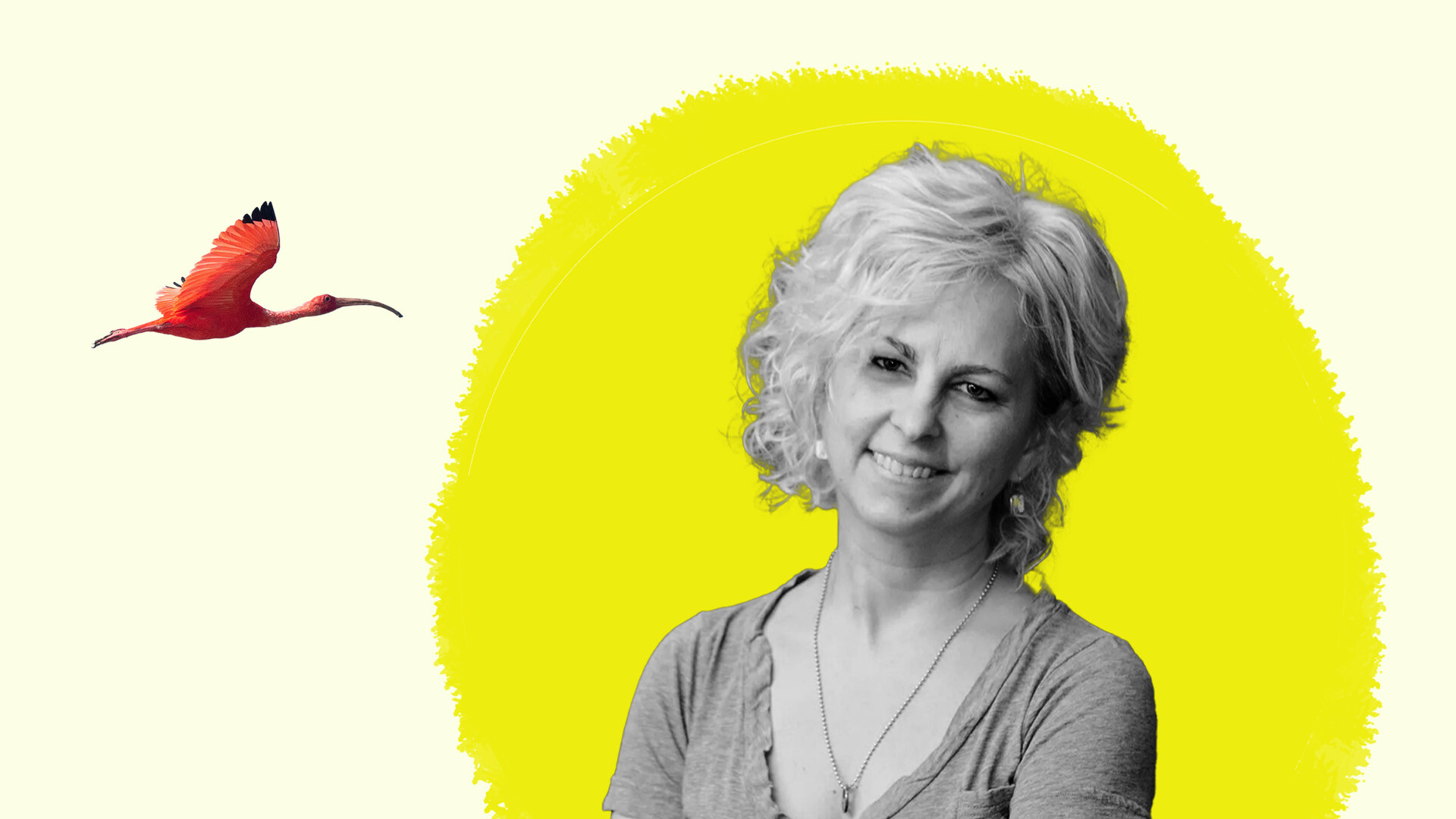 Kate DiCamillo Wallpapers - Wallpaper Cave