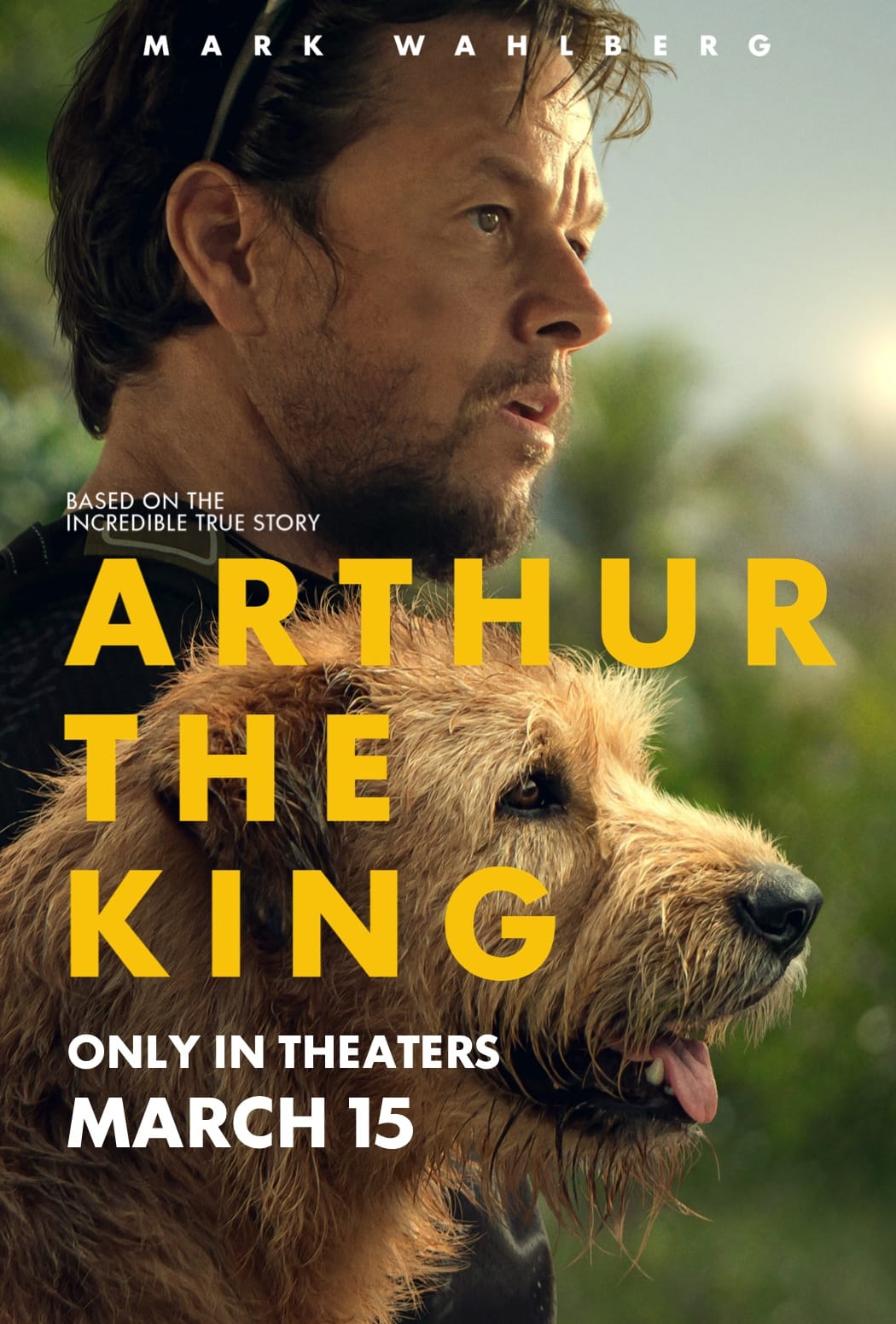 ARTHUR THE KING. Official Website