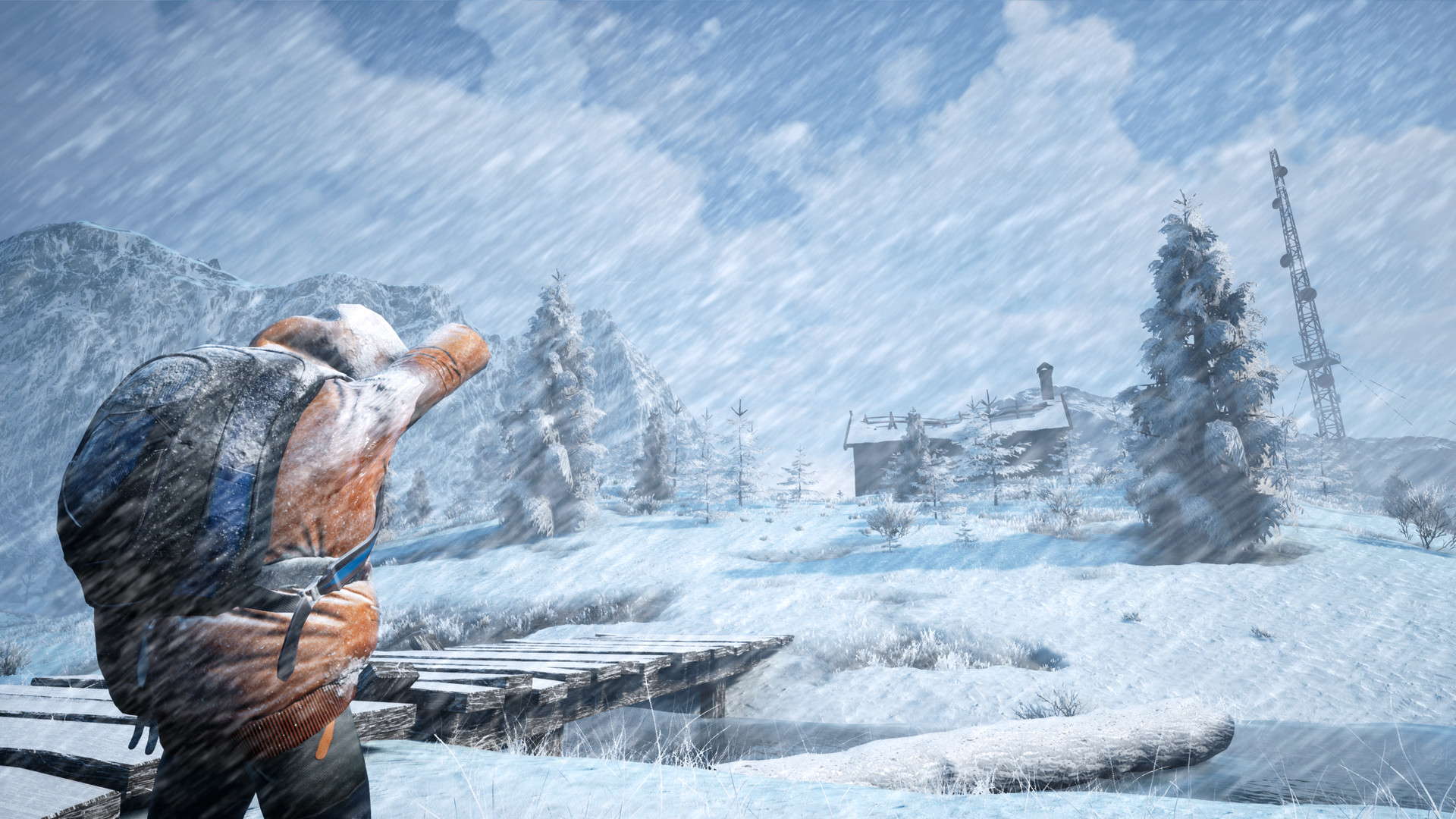 Winter Survival for PC