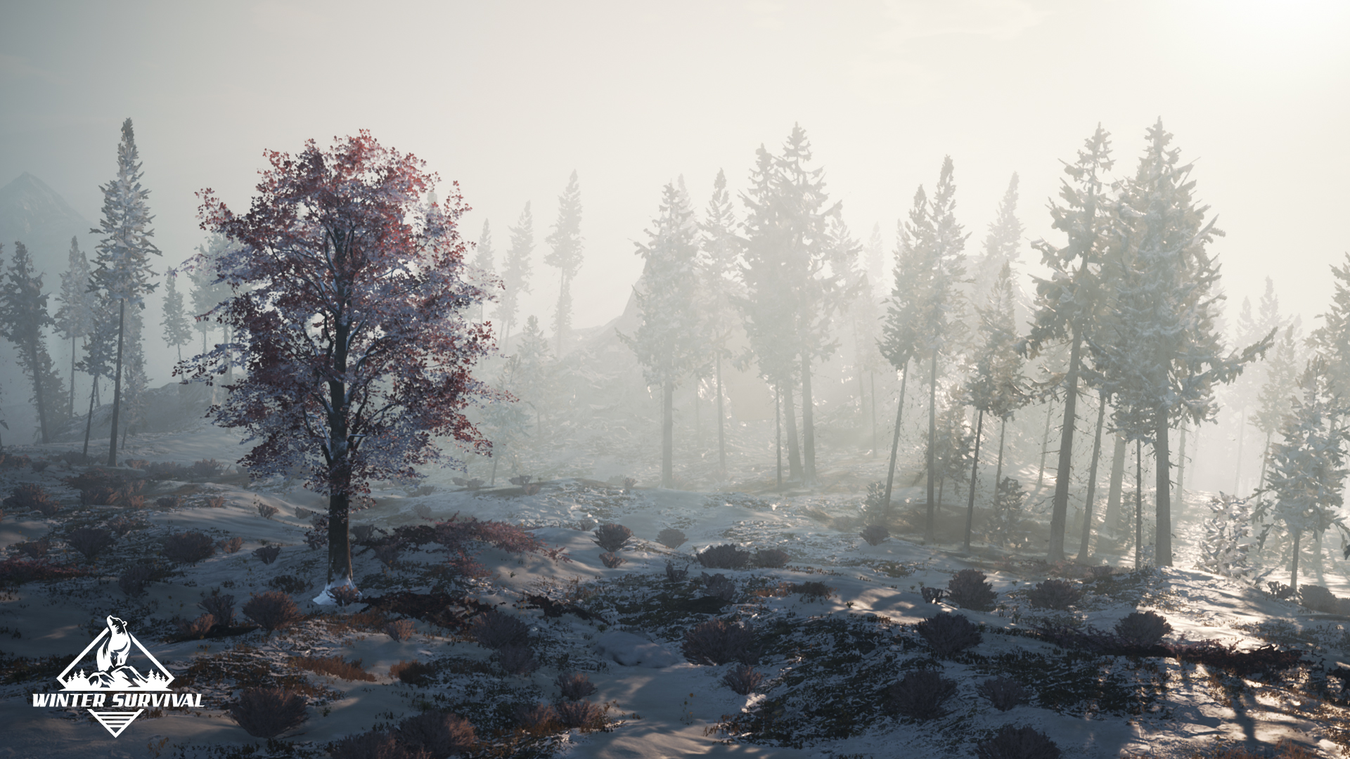 Winter Survival conditions