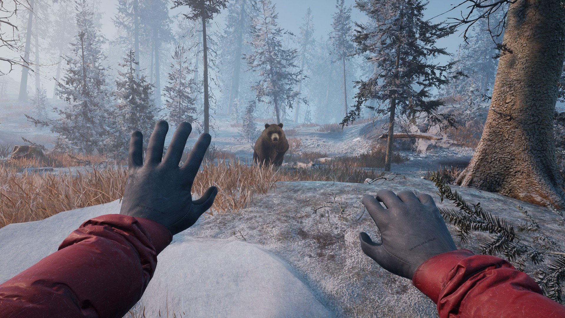 Winter Survival Early Access Review