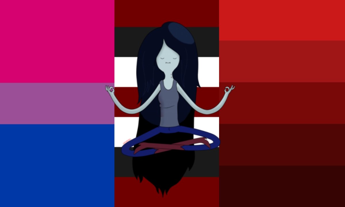 Vamp Blood Pronouns♡ Flags Shown
