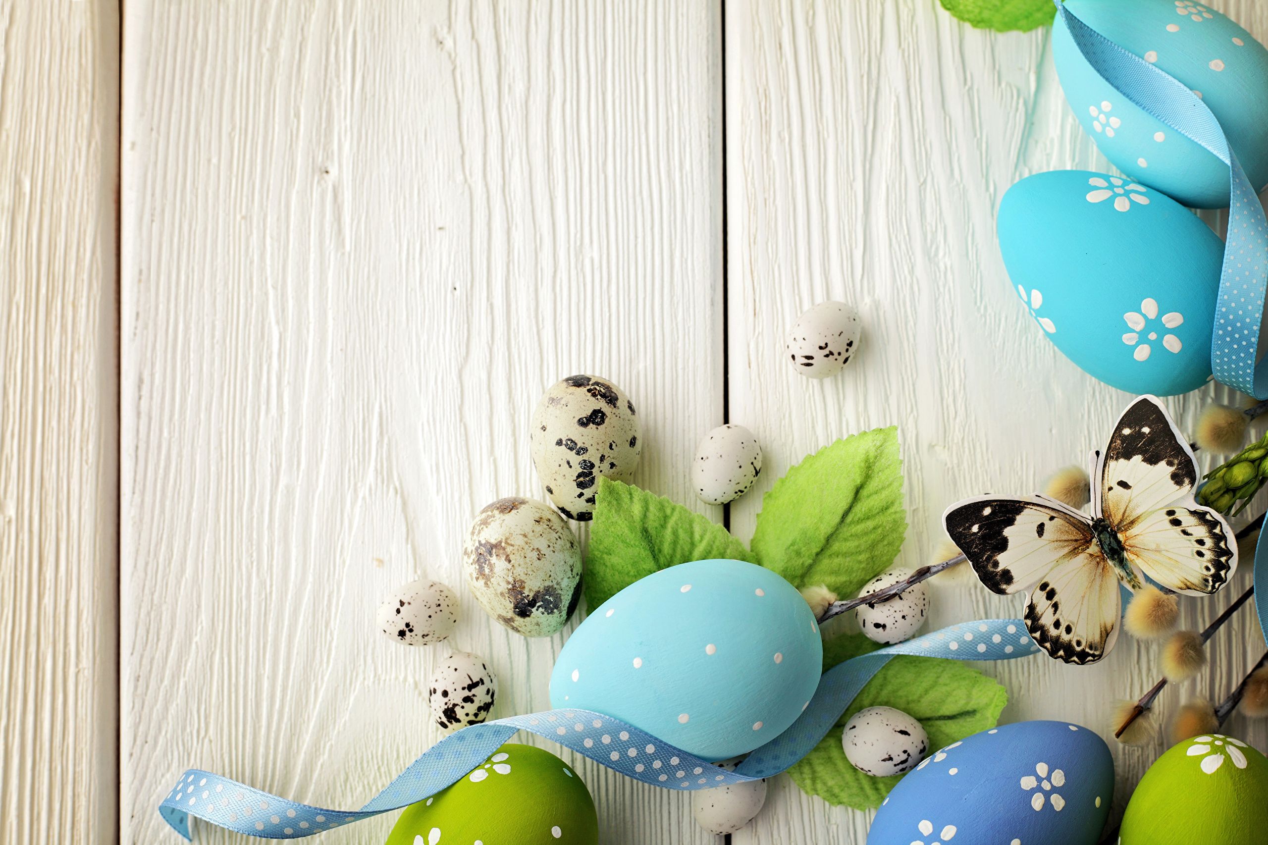 Picture Easter Butterflies Eggs