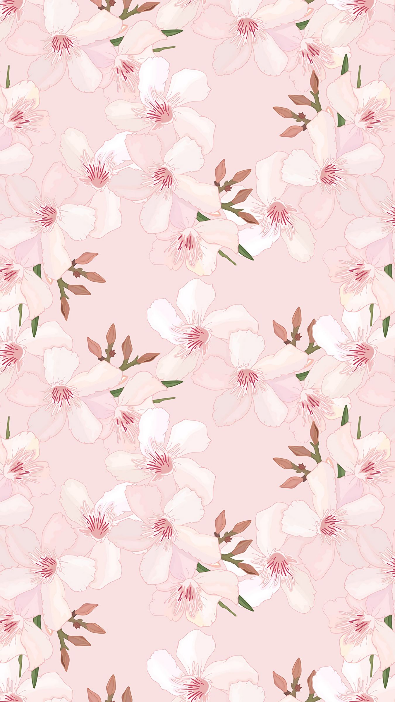Download wallpaper 1350x2400 flowers