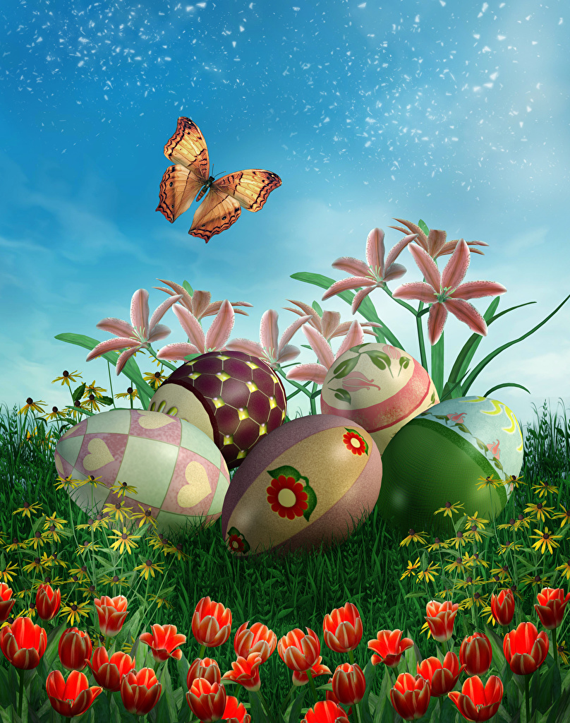 Photos Easter Butterflies egg tulip