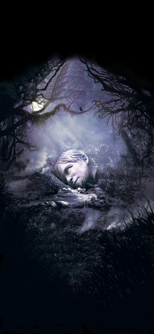 Fall phone wallpaper I stretched