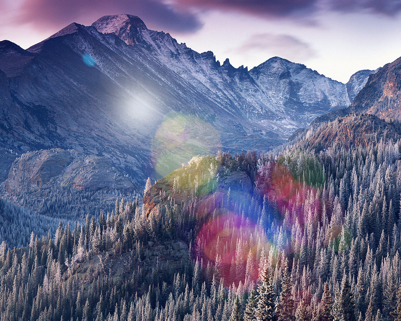 Winter Mountain Bokeh Woods Tree